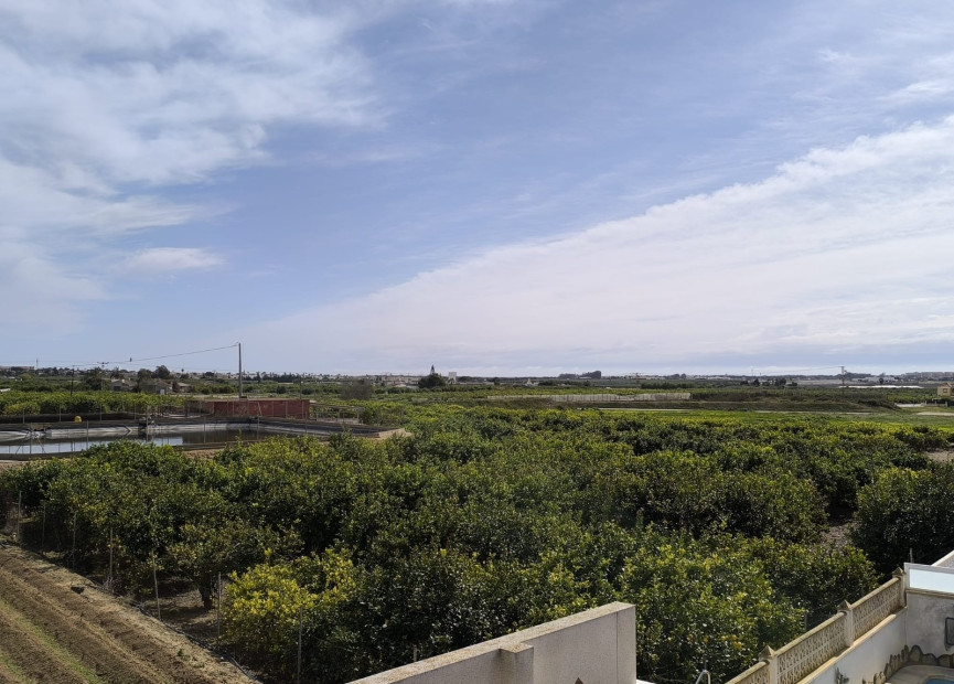 Reventa - 3. Casa indepiende - Guardamar del Segura - Costa Blanca Sur