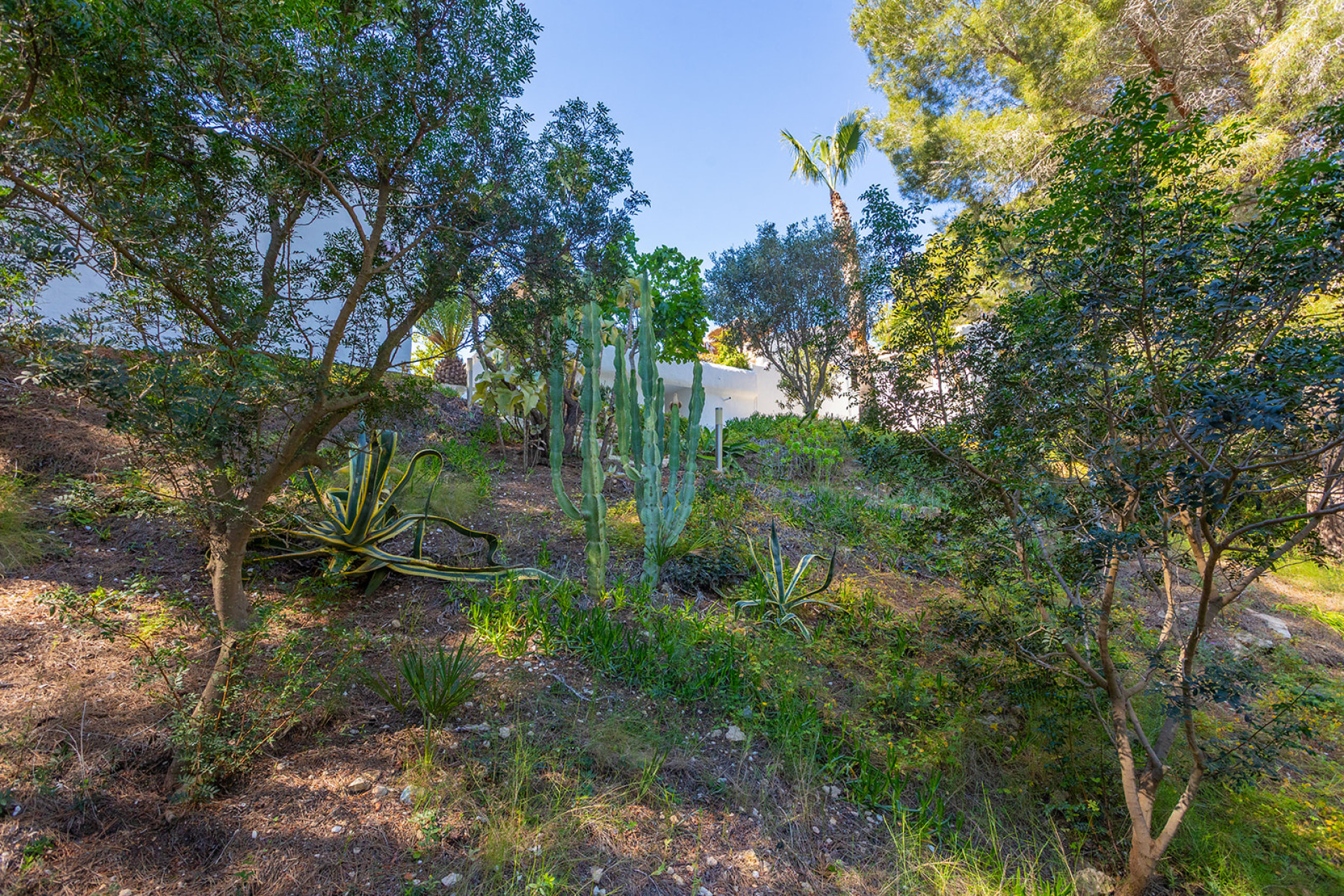 Reventa - 3. Casa indepiende - Orihuela - Costa Blanca Sur