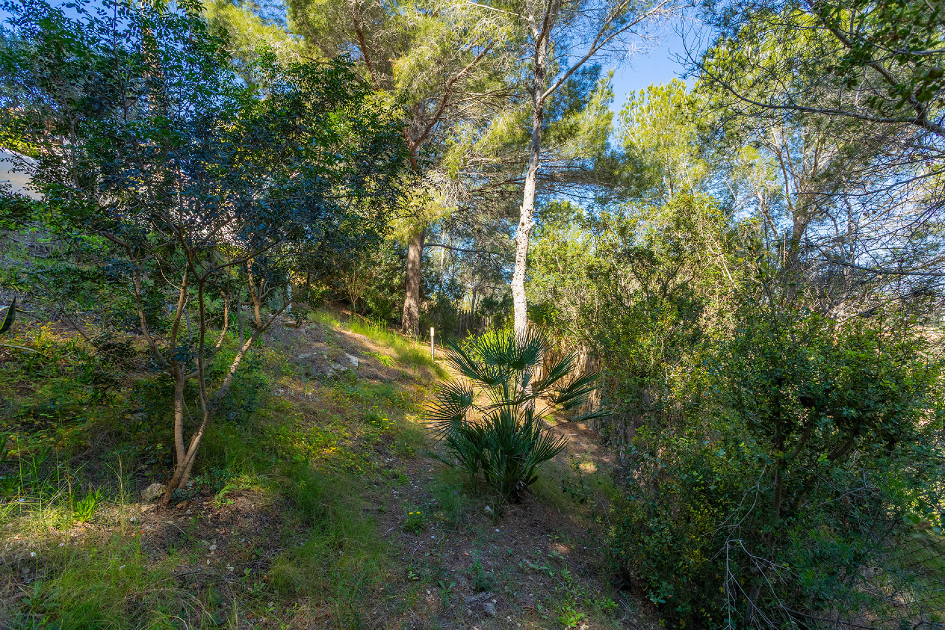 Reventa - 3. Casa indepiende - Orihuela - Costa Blanca Sur