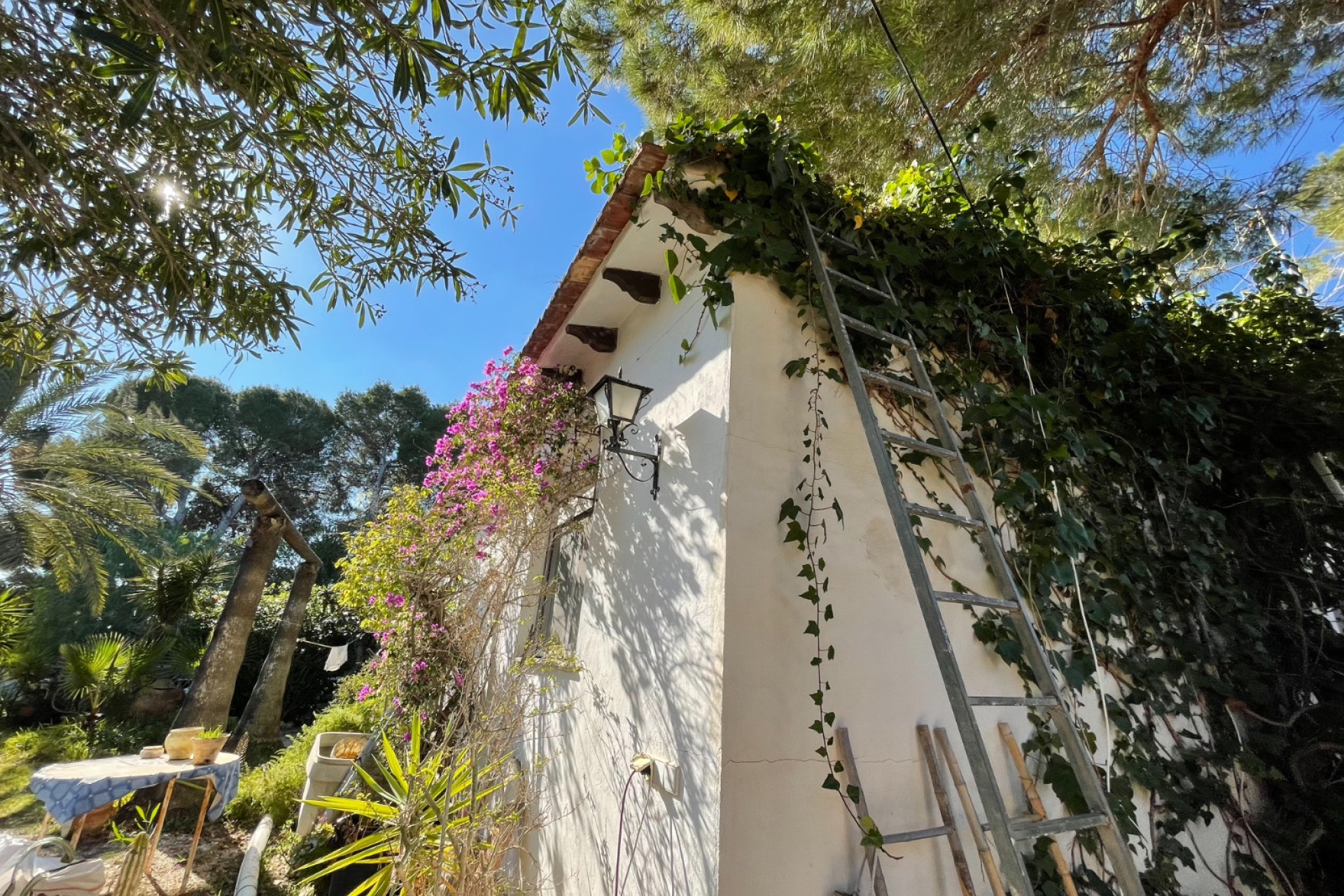 Reventa - 3. Casa indepiende - Orihuela Costa - Costa Blanca Sur