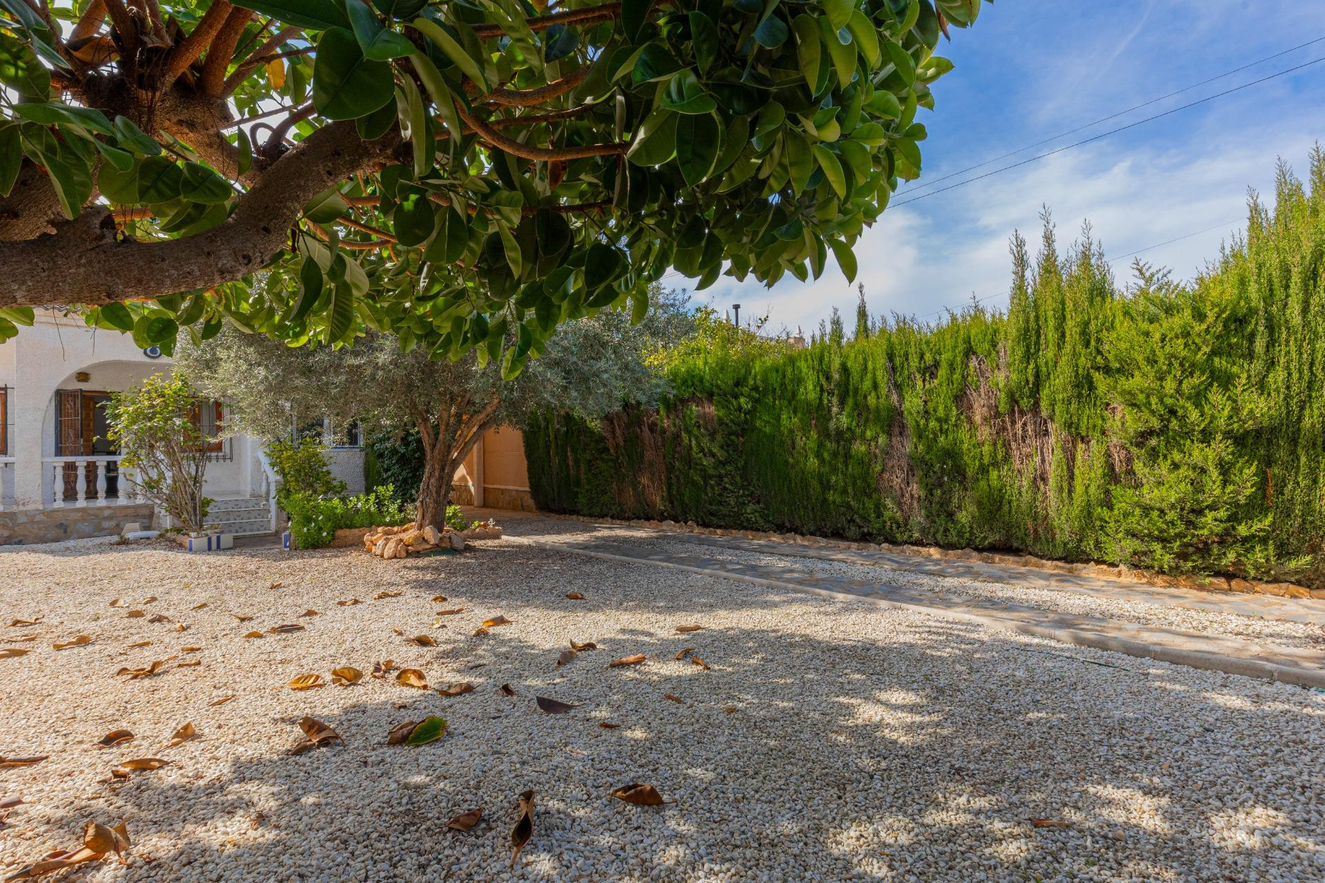 Reventa - 3. Casa indepiende - Torrevieja - La siesta