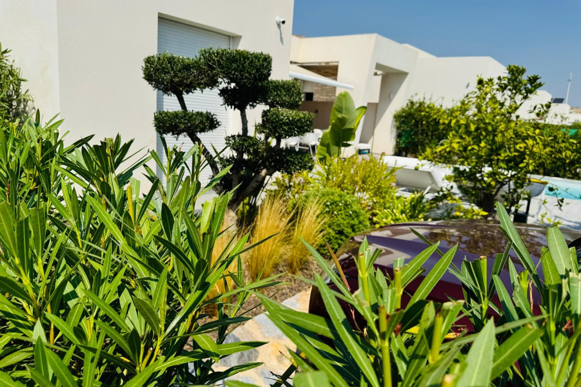 Reventa - 3. Casa pareada - Algorfa - Costa Blanca Sur