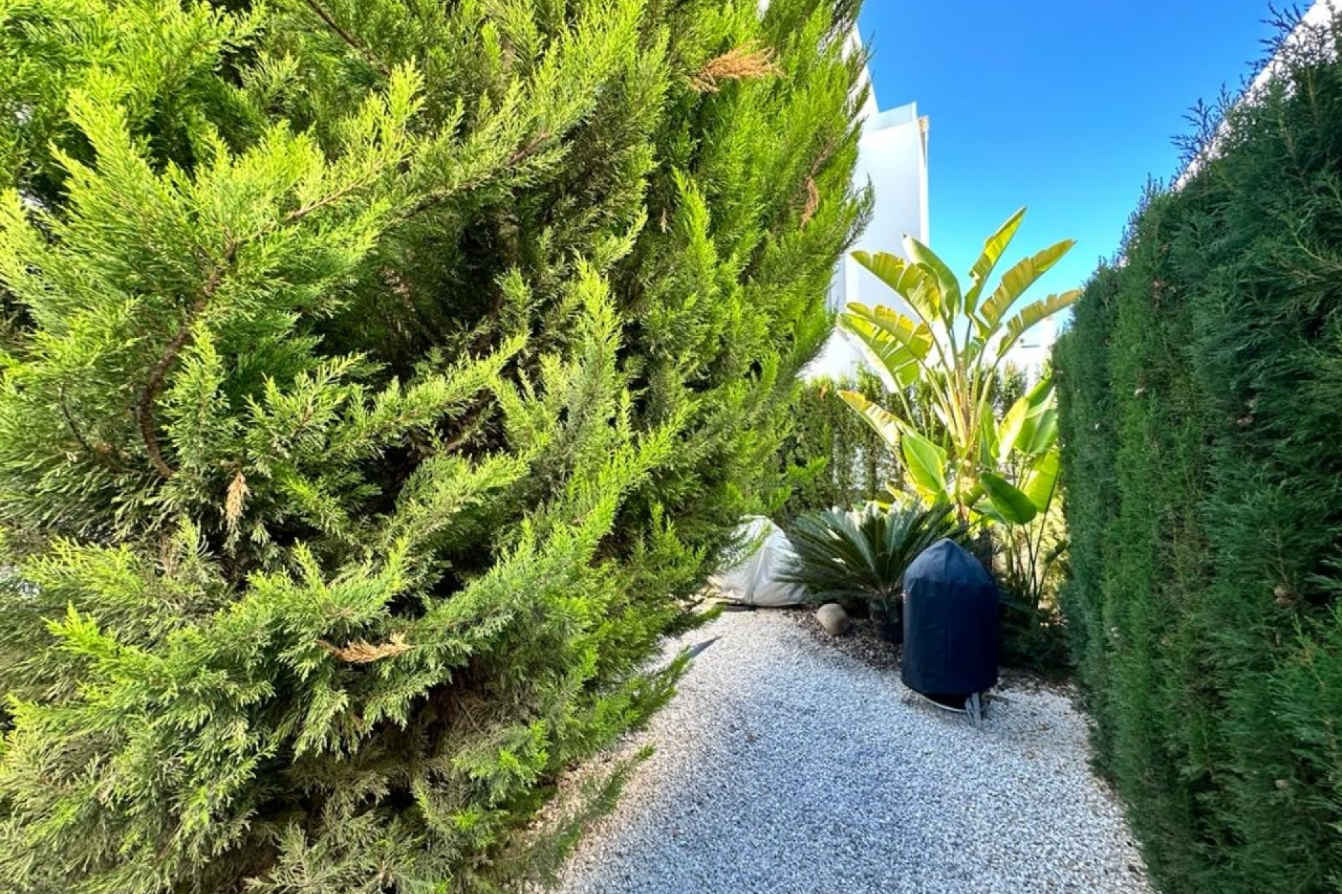 Reventa - 3. Casa pareada - Ciudad Quesada - Costa Blanca Sur