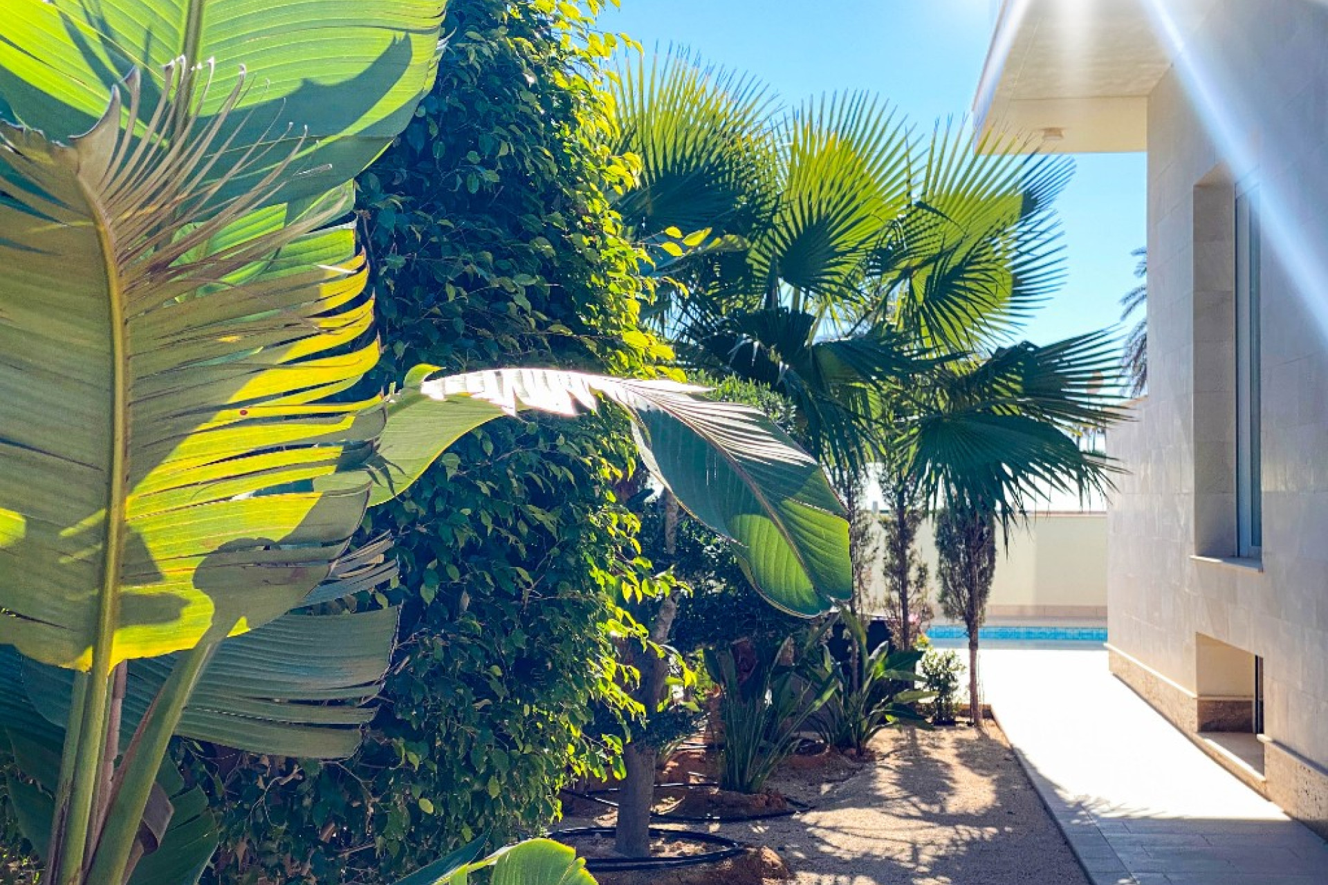 Reventa - 3. Casa pareada - La Zenia - Costa Blanca Sur