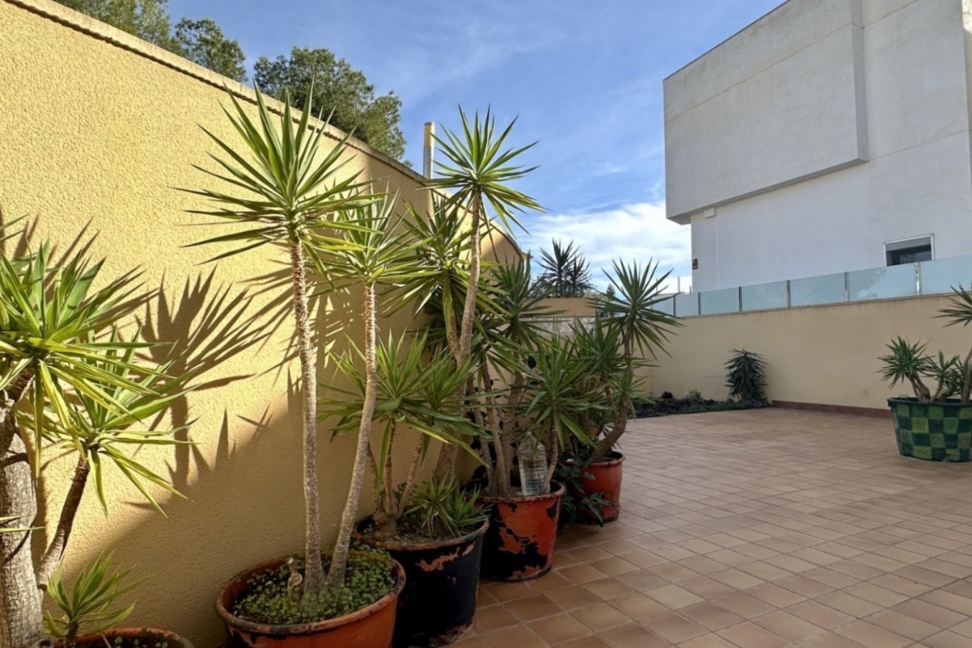 Reventa - 3. Casa pareada - Orihuela Costa - Costa Blanca Sur