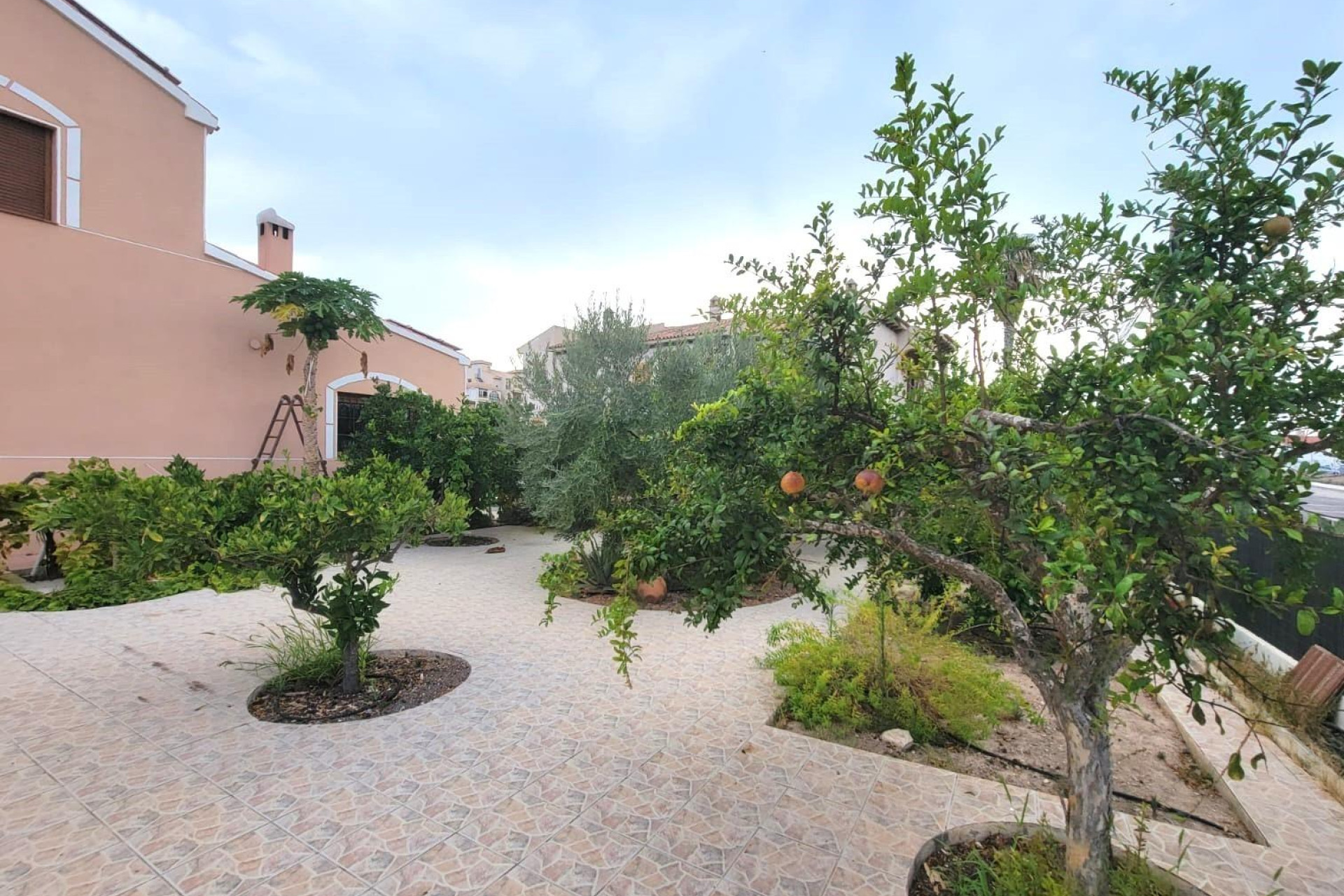 Reventa - 3. Casa pareada - Torrevieja - Costa Blanca Sur