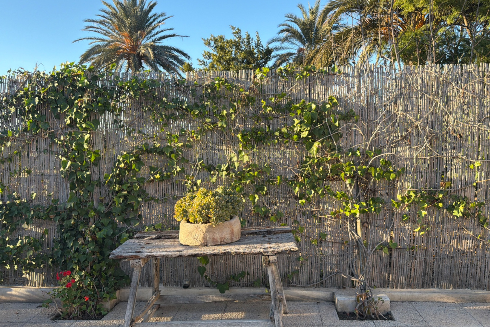 Reventa - 4. Chalet pareado - Dolores - Costa Blanca Sur