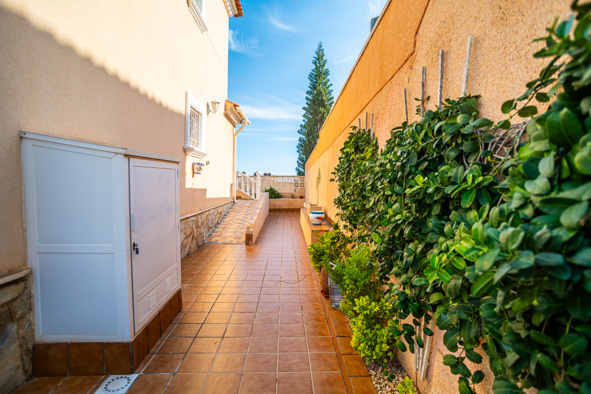 Reventa - 4. House - Detached Villa - San Miguel de Salinas - Orihuela Costa