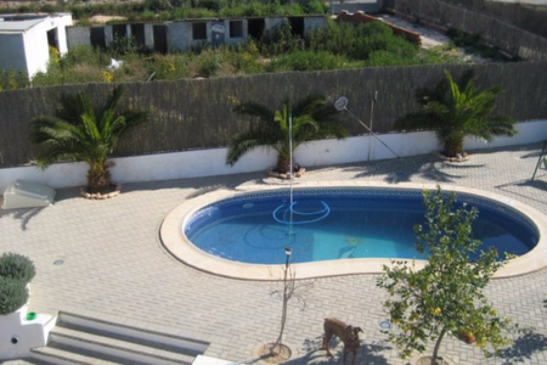 Reventa - 4. House - Detached Villa - Torre-Pacheco