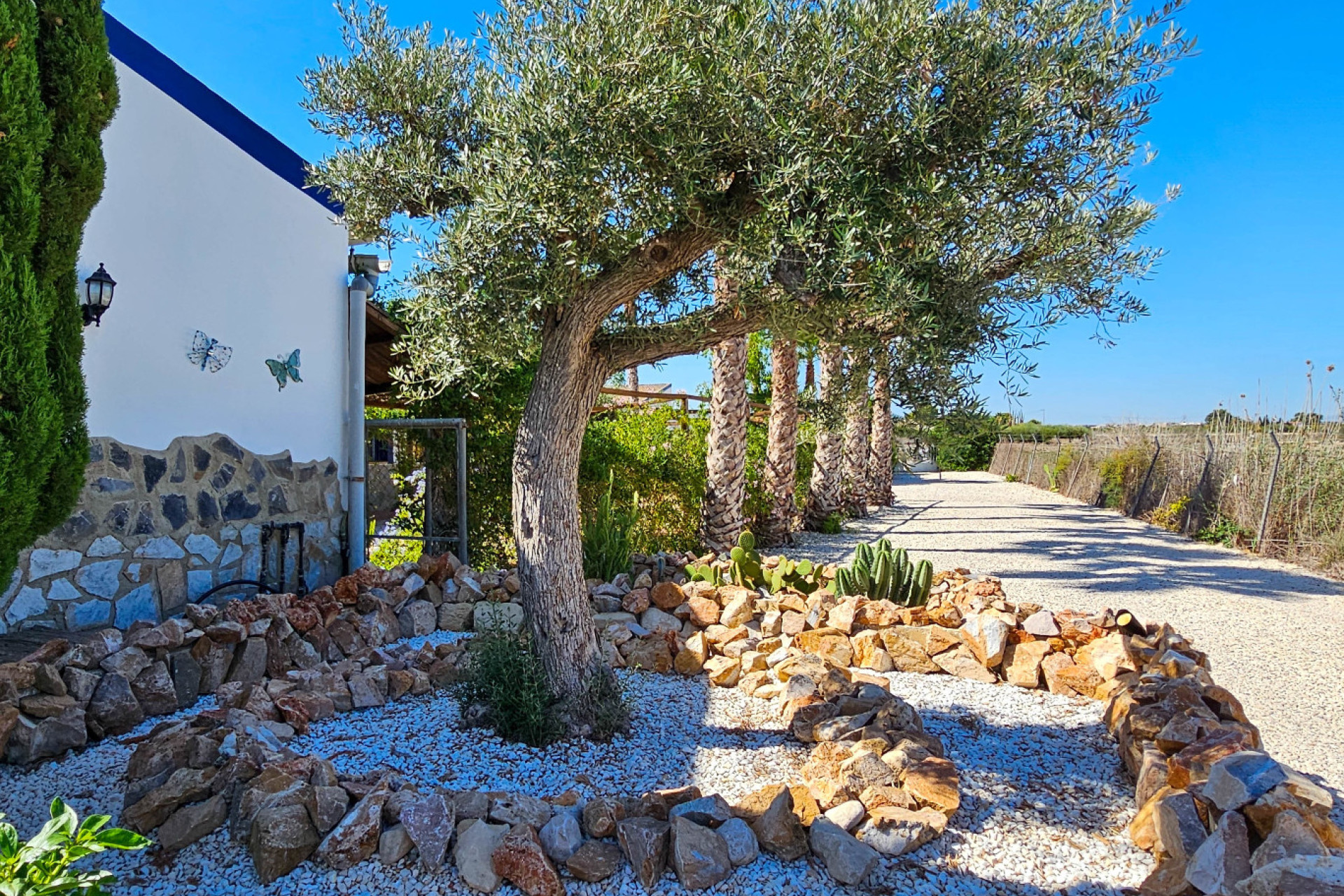 Reventa - 5. Finca / Country Property - Crevillente - Orihuela