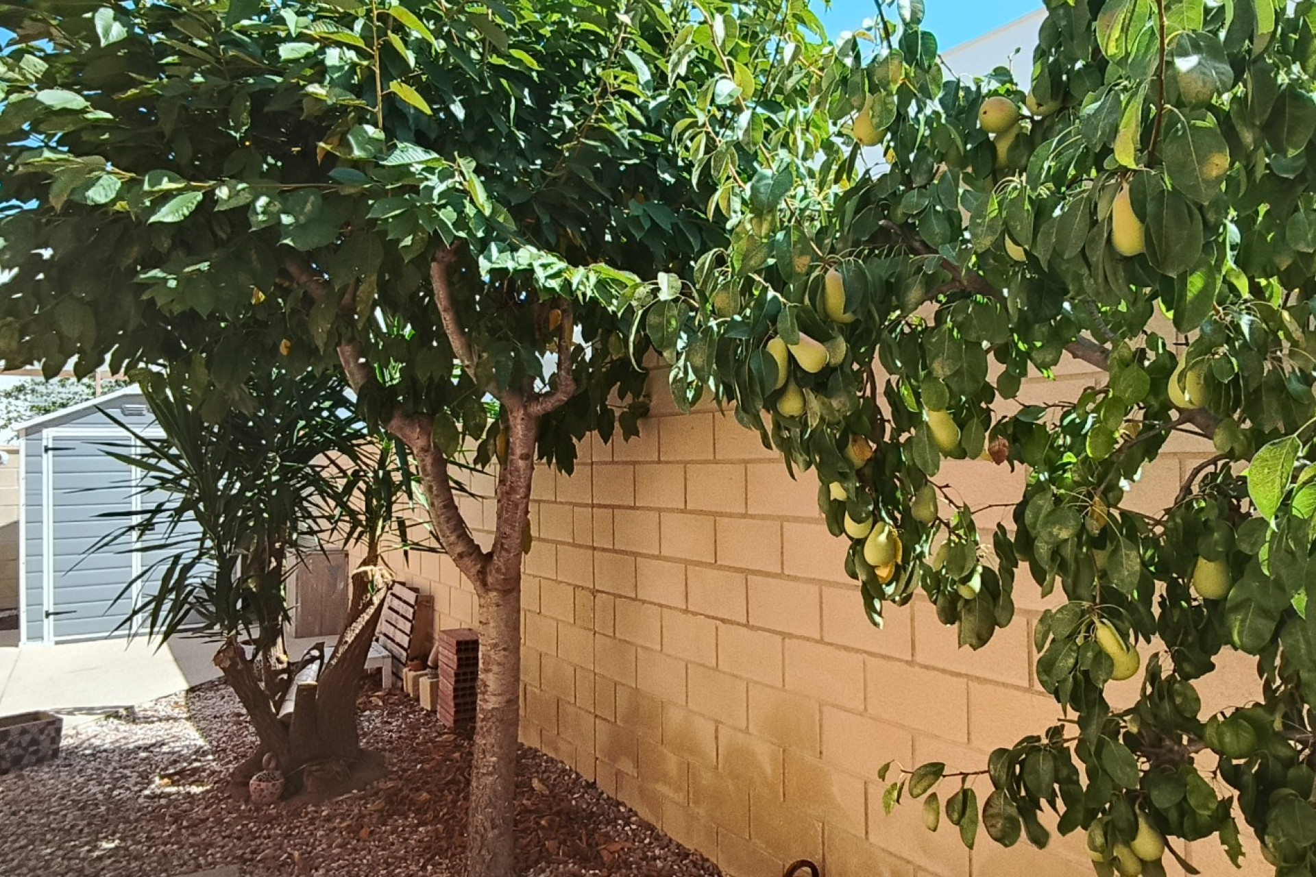 Reventa - 6. Independent villa - La Romana - Costa Blanca Norte 