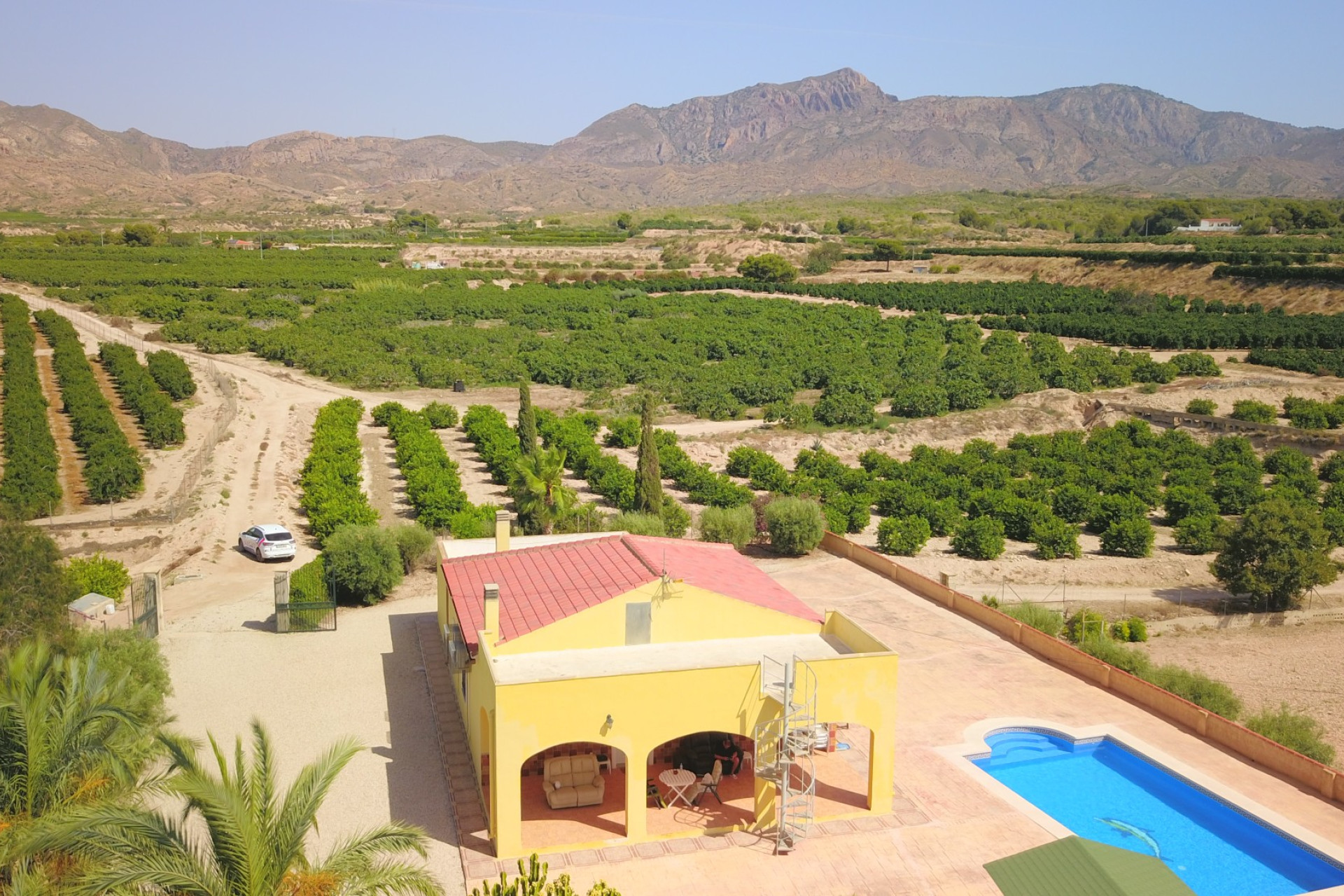 Reventa - 7. Finca - Albatera - Albatera - Country