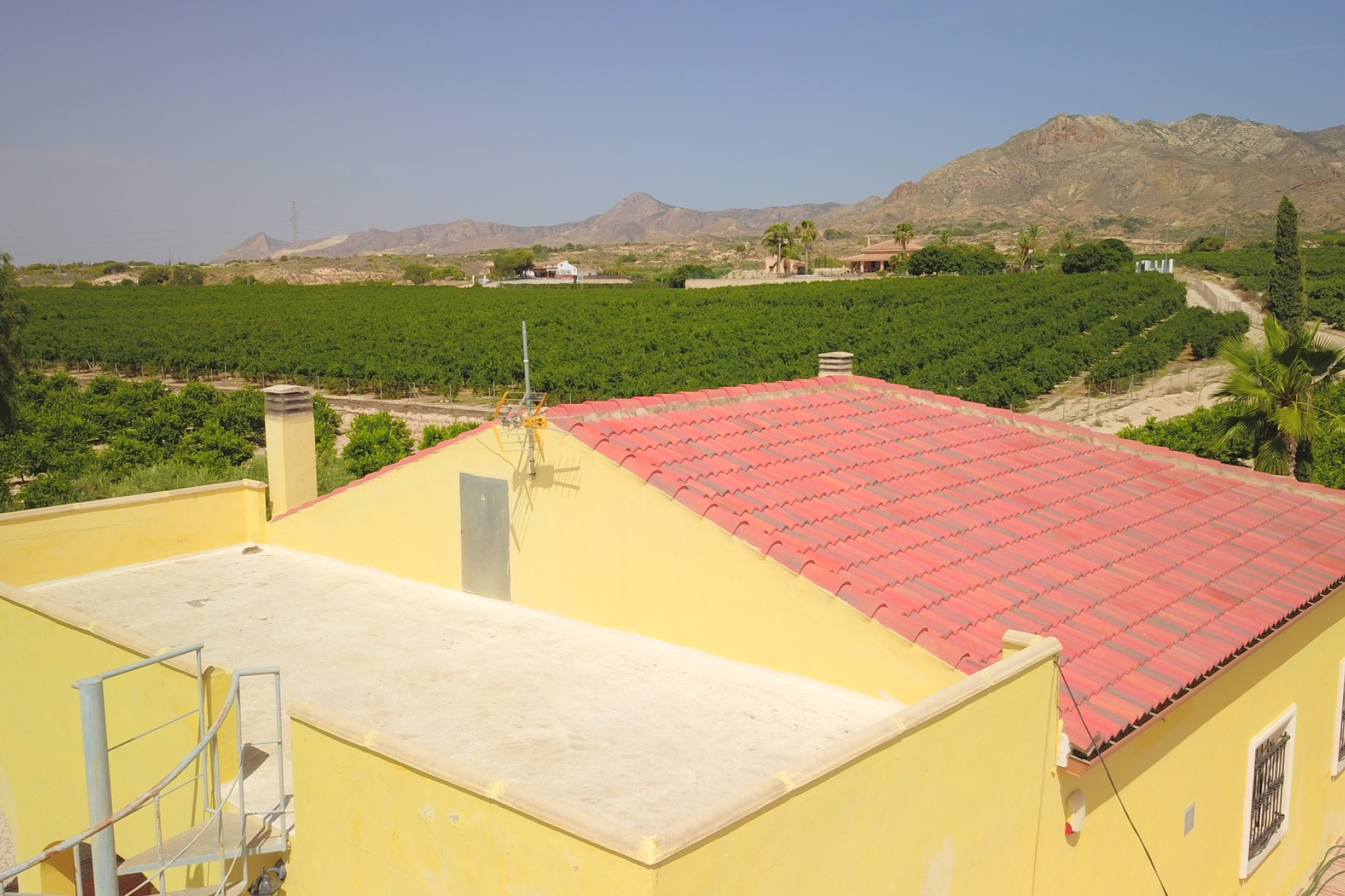 Reventa - 7. Finca - Albatera - Albatera - Country