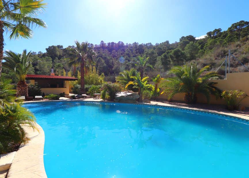 Reventa - 7. Finca - Aspe - Costa Blanca Norte 