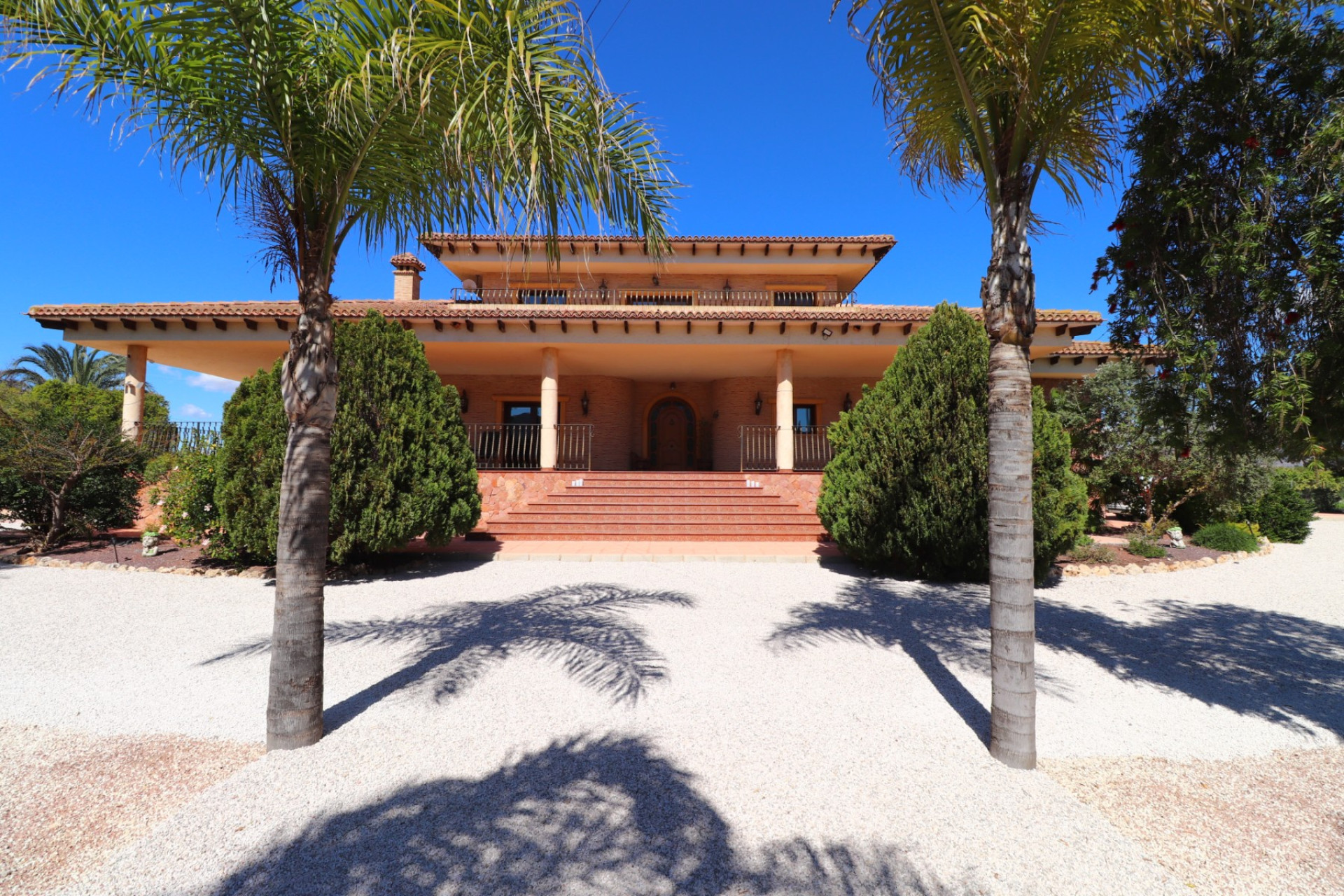 Reventa - 7. Finca - Callosa de Segura - Costa Blanca Sur