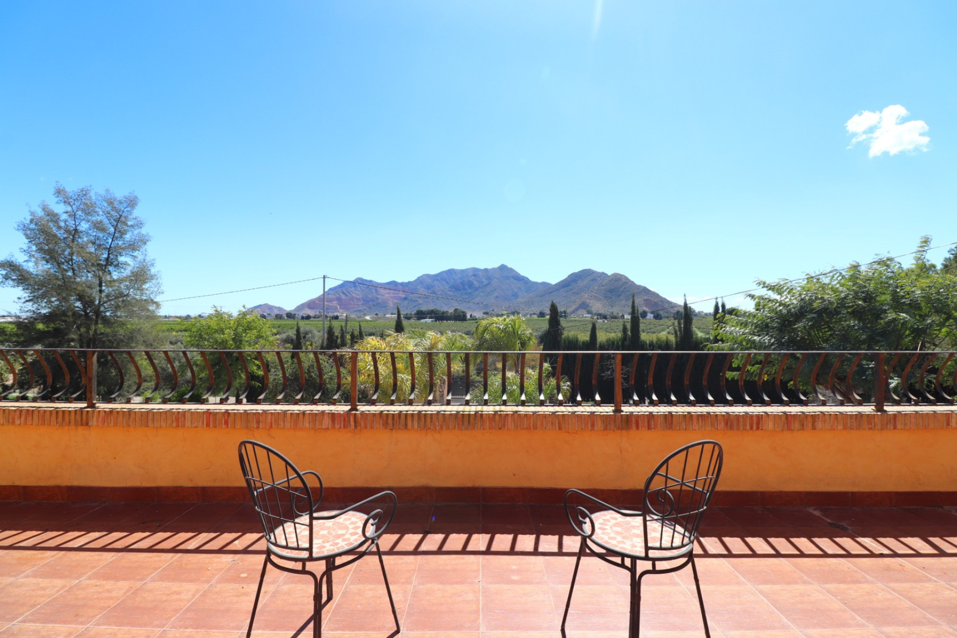 Reventa - 7. Finca - Callosa de Segura - Costa Blanca Sur