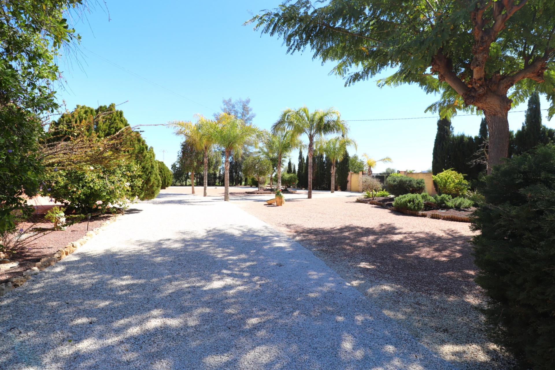 Reventa - 7. Finca - Callosa de Segura - Costa Blanca Sur