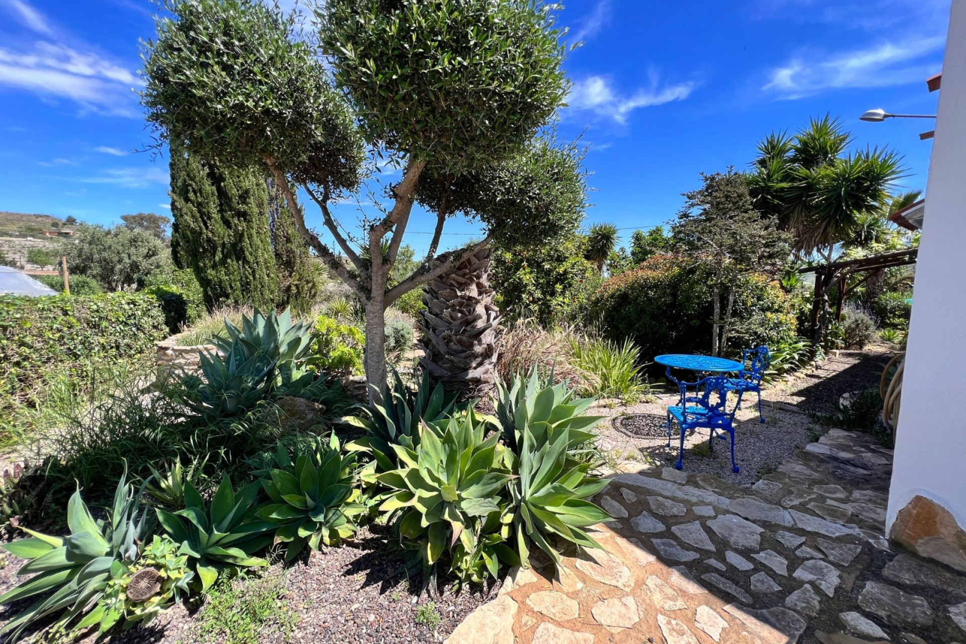 Reventa - 7. Finca - Cartagena - Costa Calida