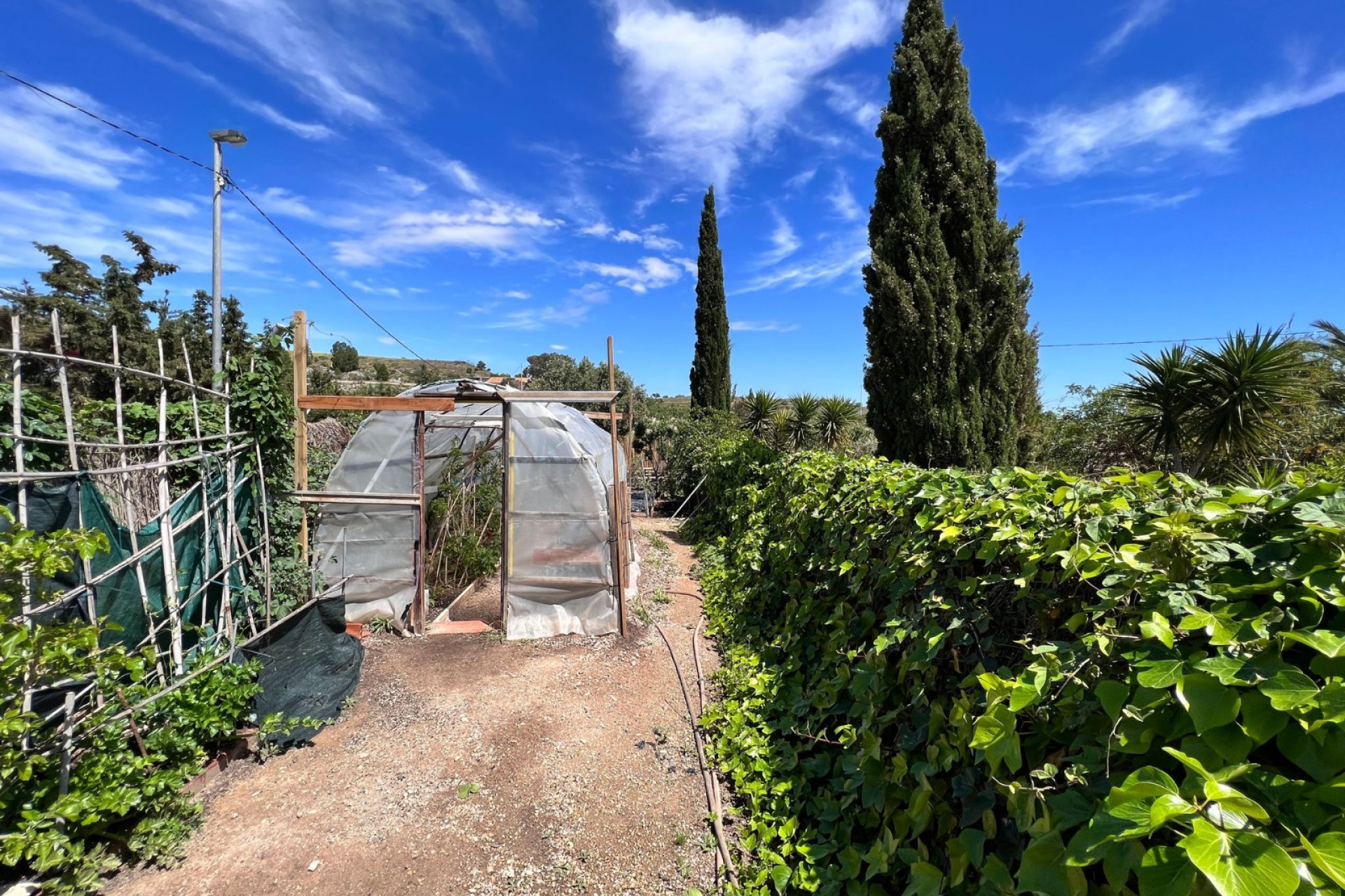 Reventa - 7. Finca - Cartagena - Costa Calida