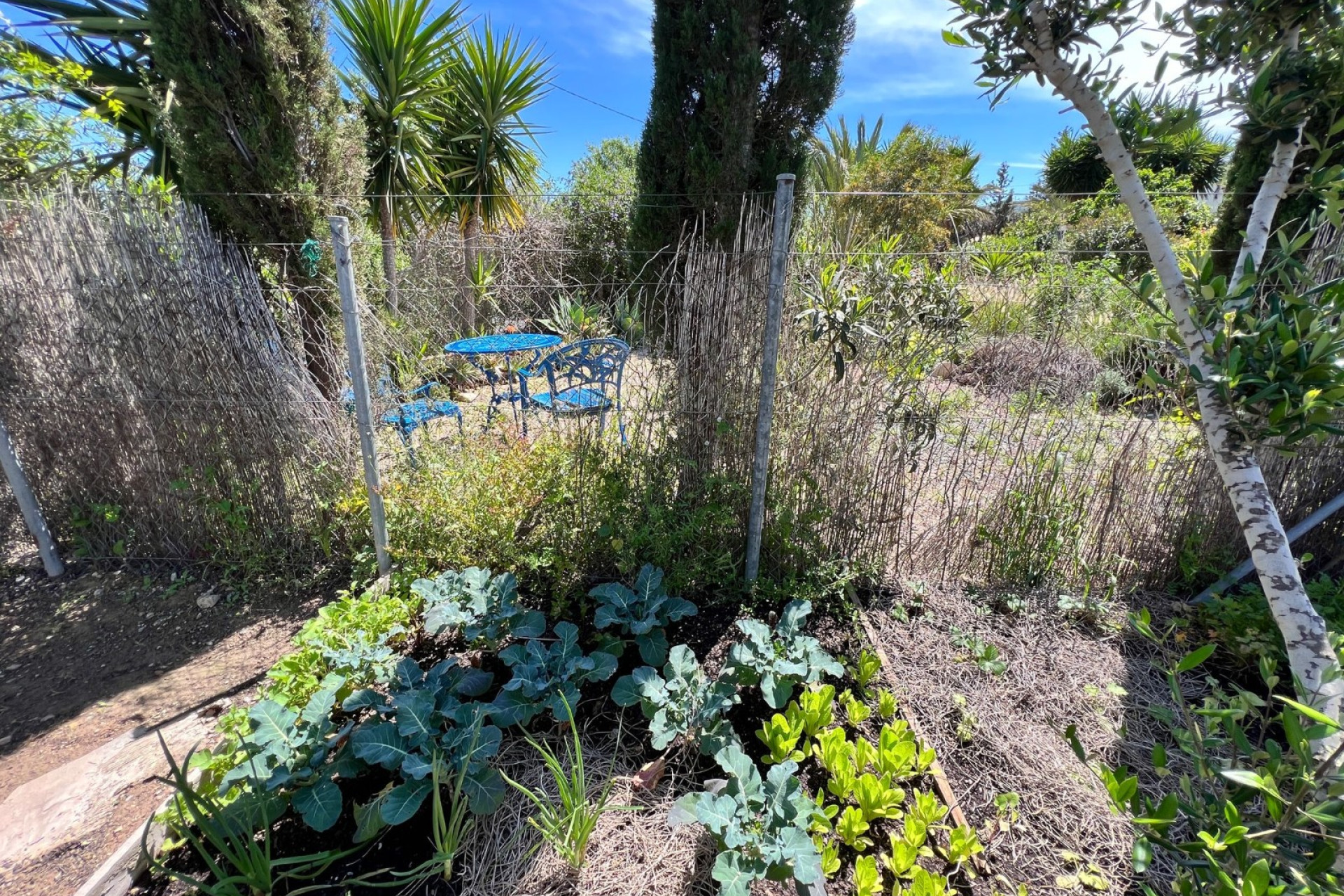 Reventa - 7. Finca - Cartagena - Costa Calida