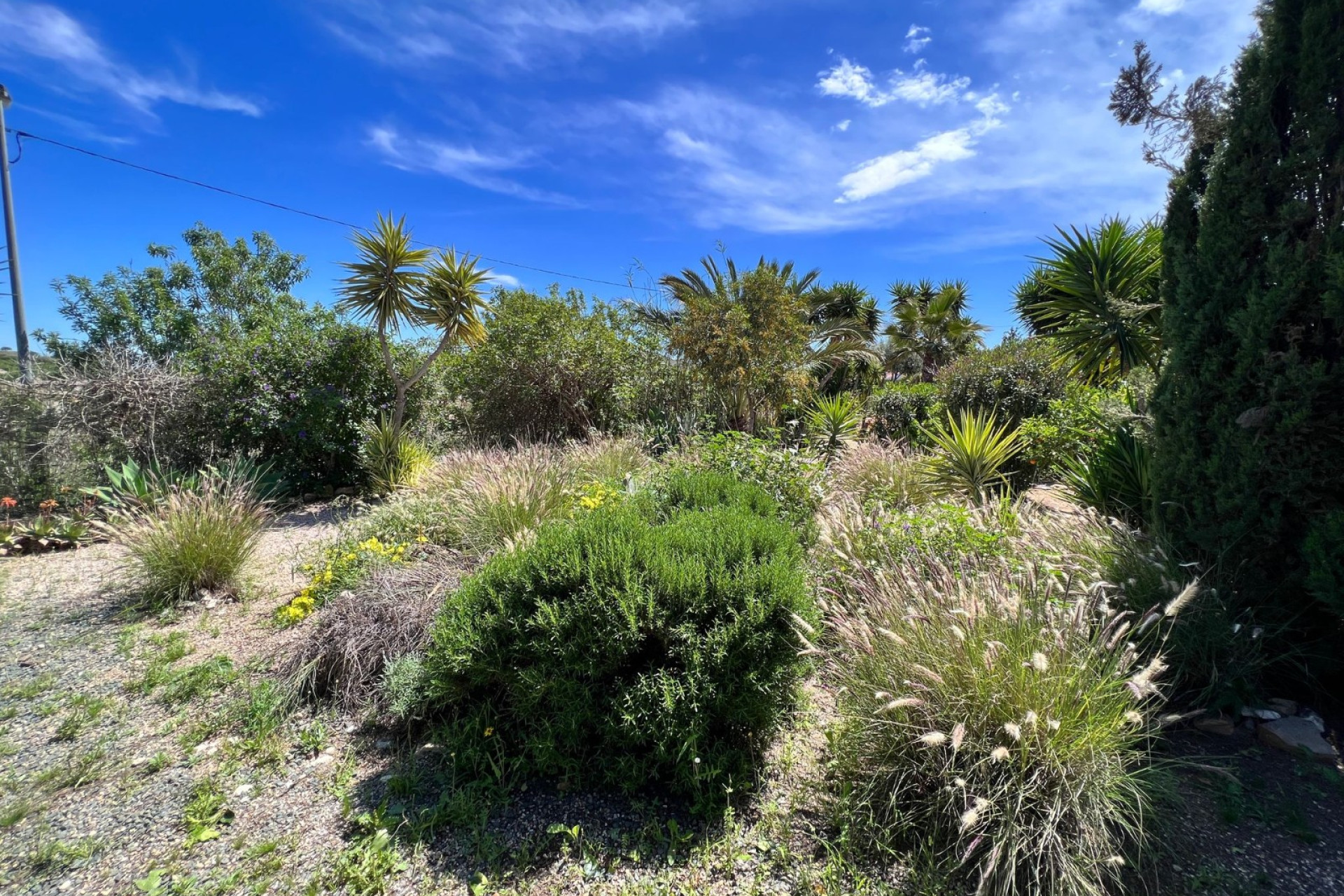 Reventa - 7. Finca - Cartagena - Costa Calida