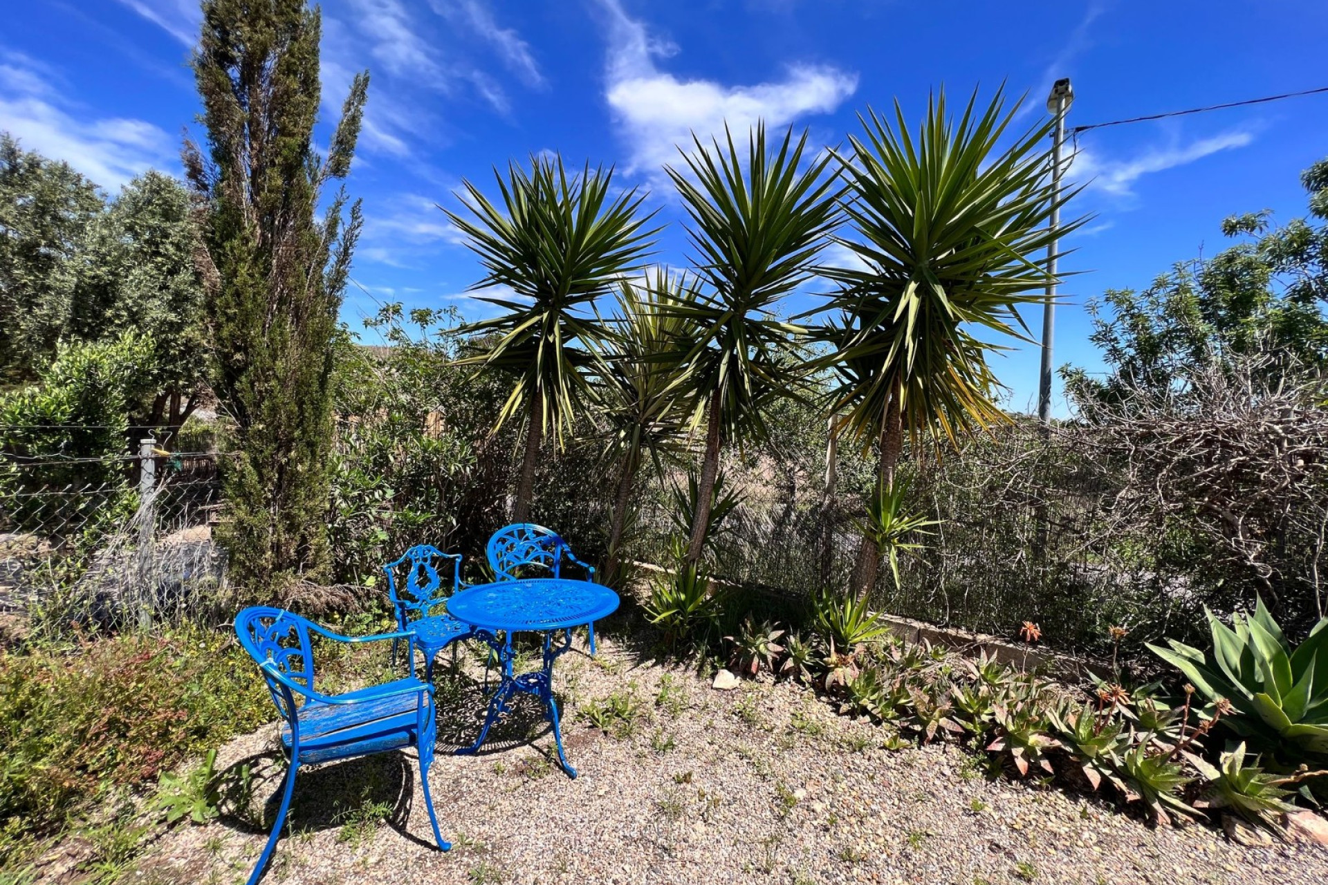 Reventa - 7. Finca - Cartagena - Costa Calida