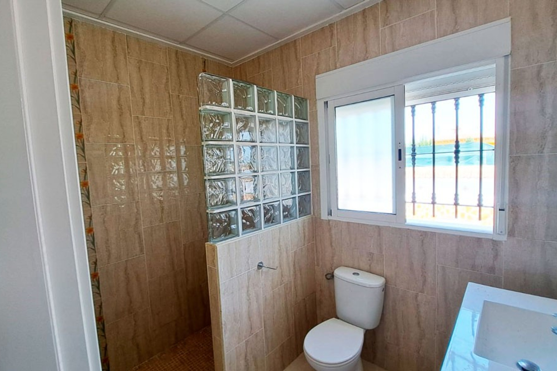 Reventa - 7. Finca - Catral - Costa Blanca Sur