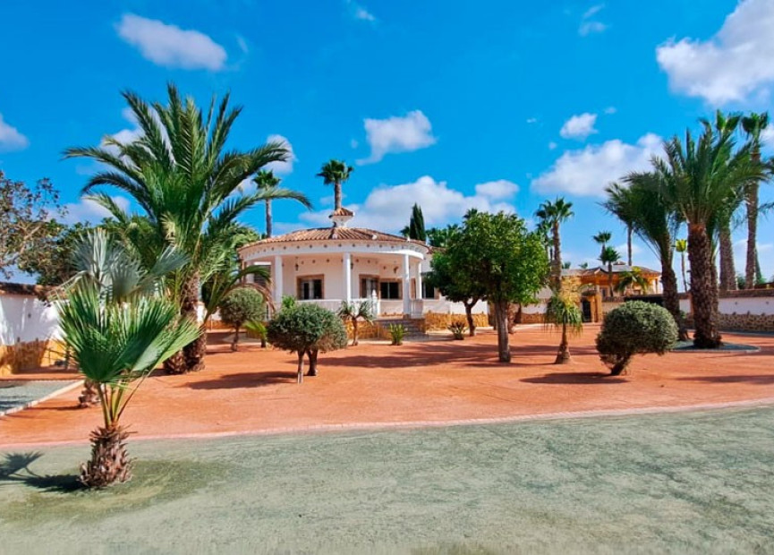 Reventa - 7. Finca - Catral - Costa Blanca Sur