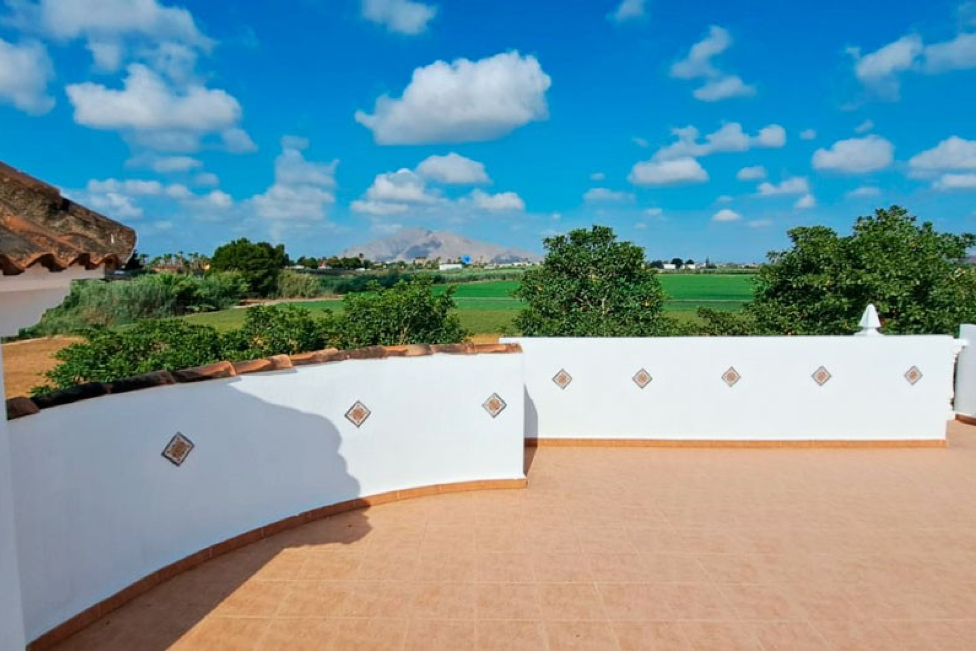 Reventa - 7. Finca - Catral - Costa Blanca Sur