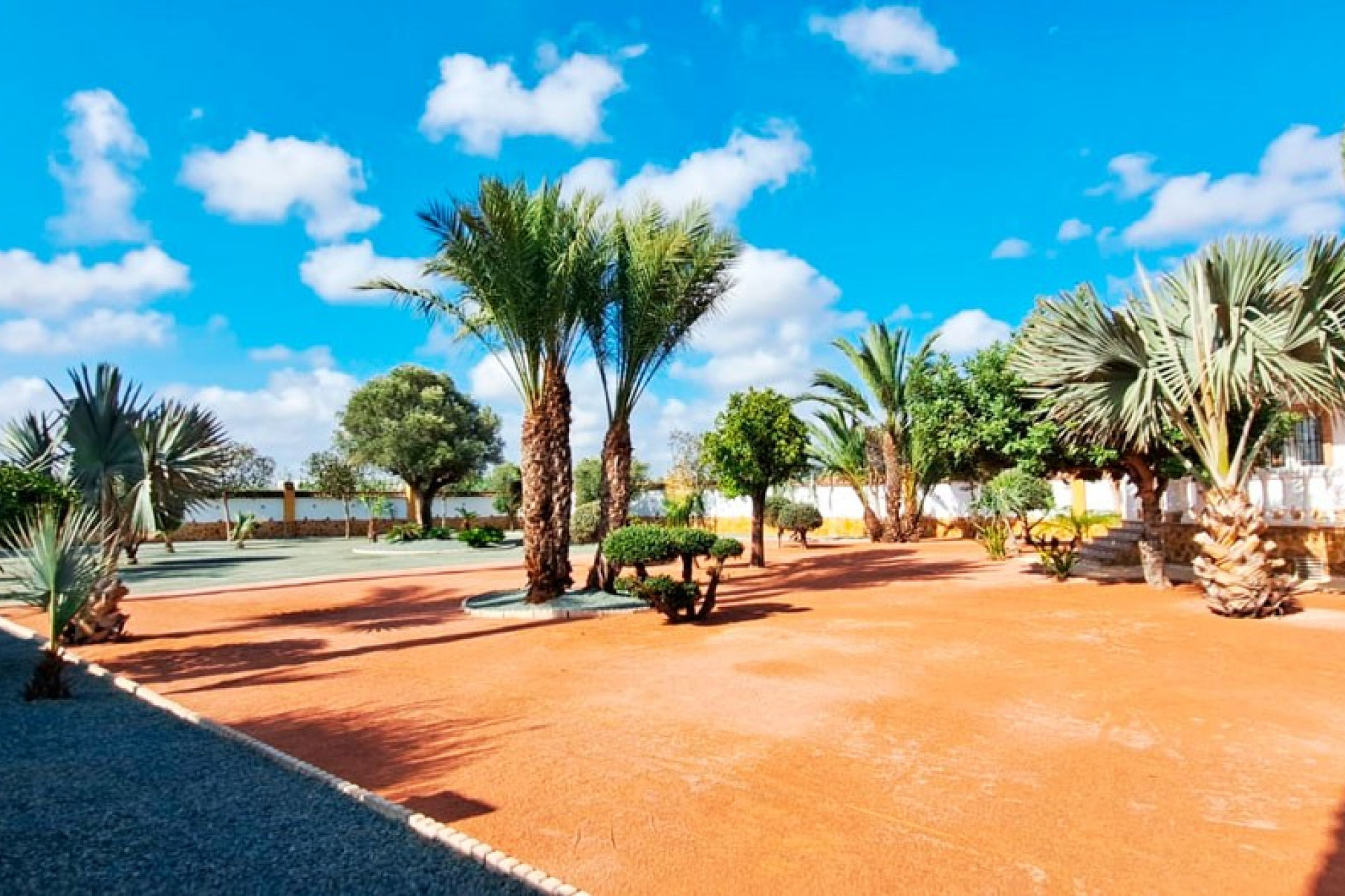 Reventa - 7. Finca - Catral - Costa Blanca Sur