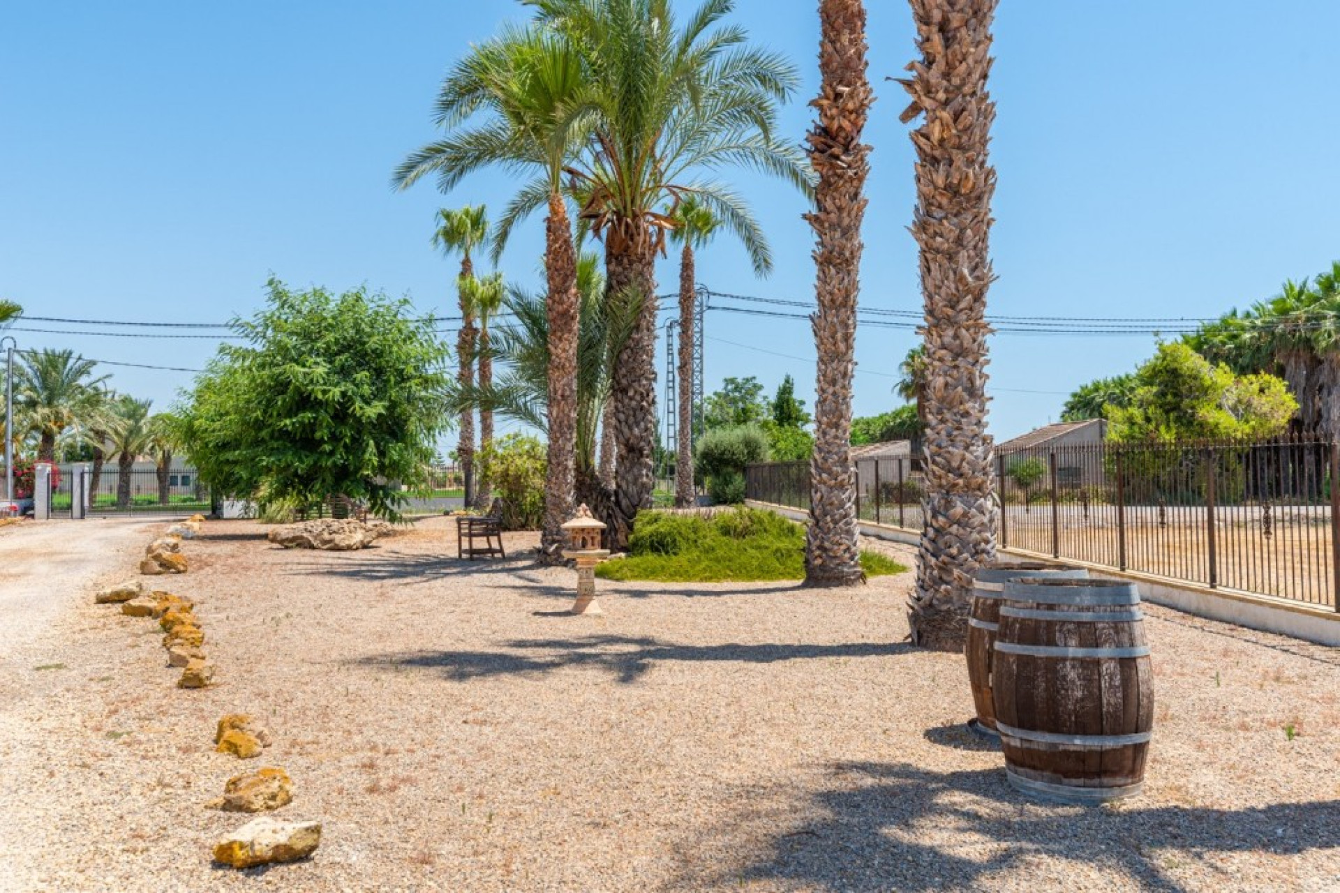 Reventa - 7. Finca - Catral - Costa Blanca Sur