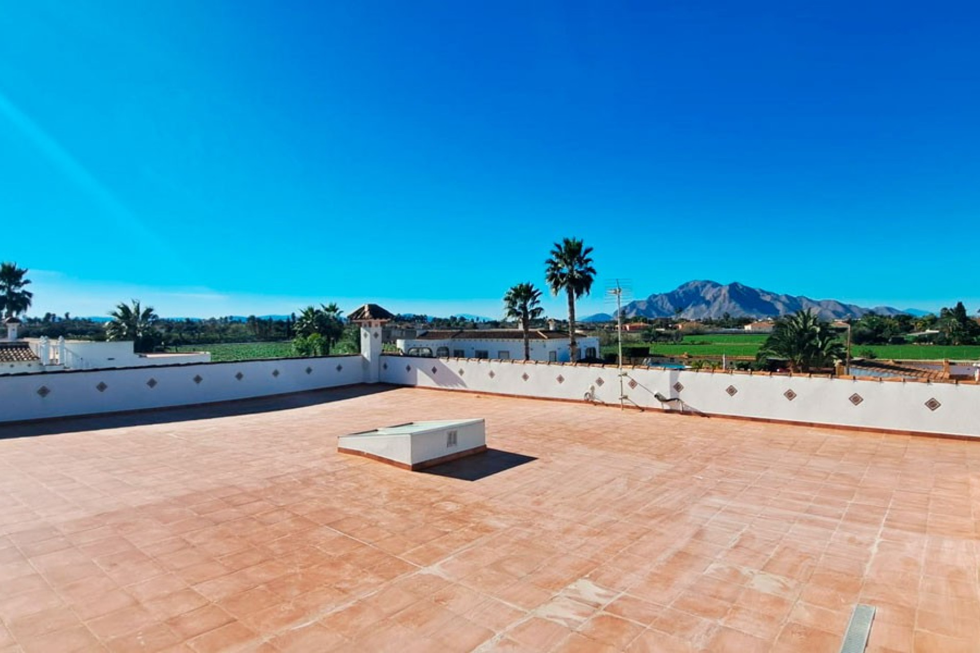Reventa - 7. Finca - Catral - Costa Blanca Sur