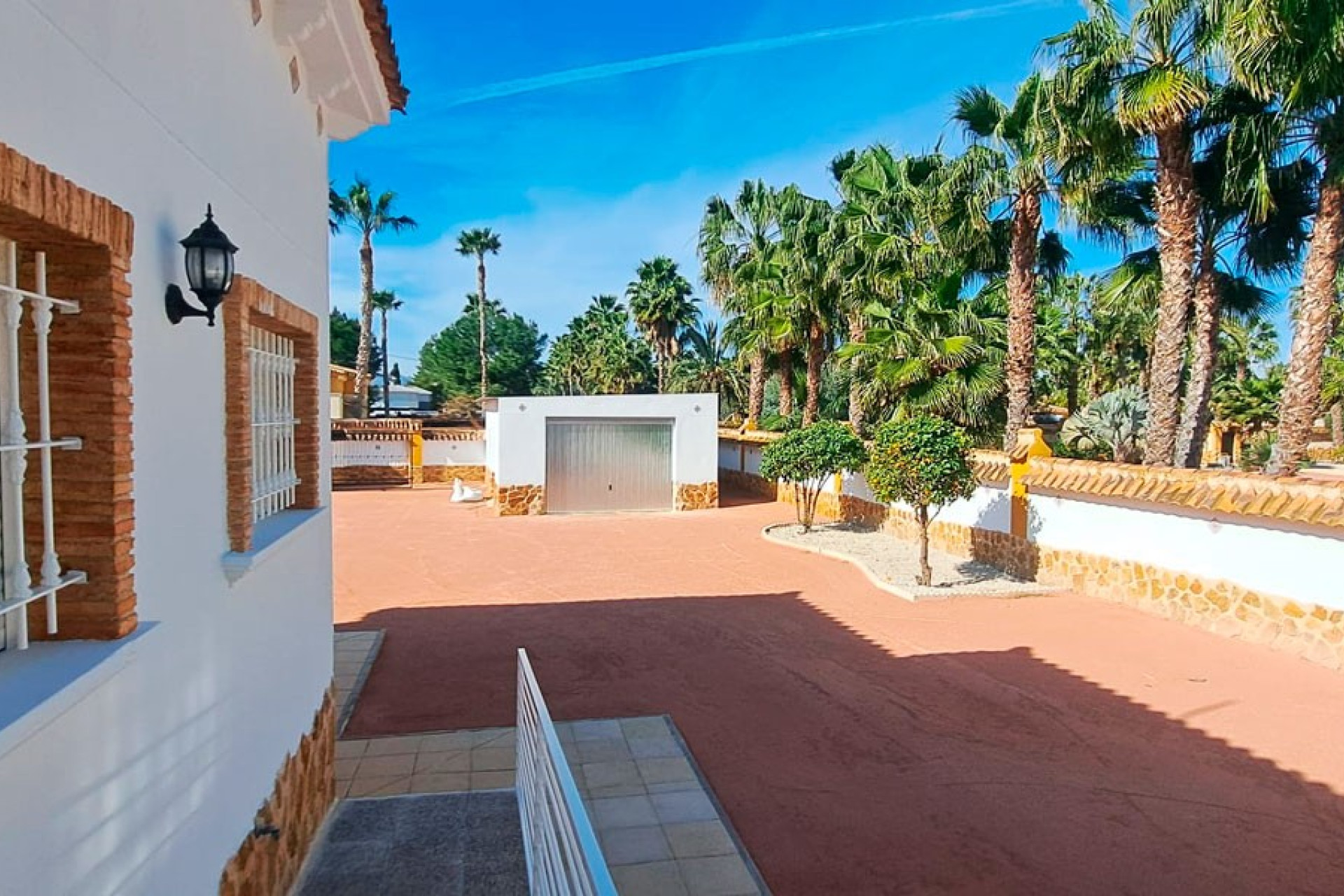 Reventa - 7. Finca - Catral - Costa Blanca Sur