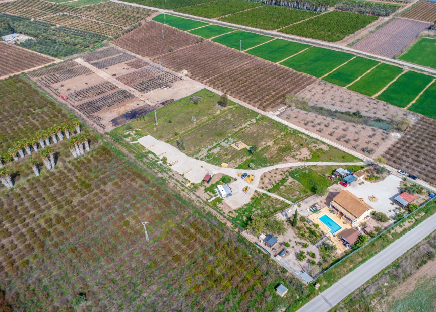 Reventa - 7. Finca - Crevillent - Costa Blanca Sur