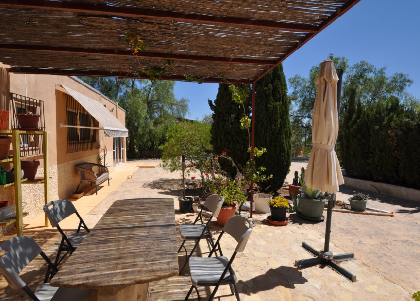 Reventa - 7. Finca - Crevillent - Crevillente