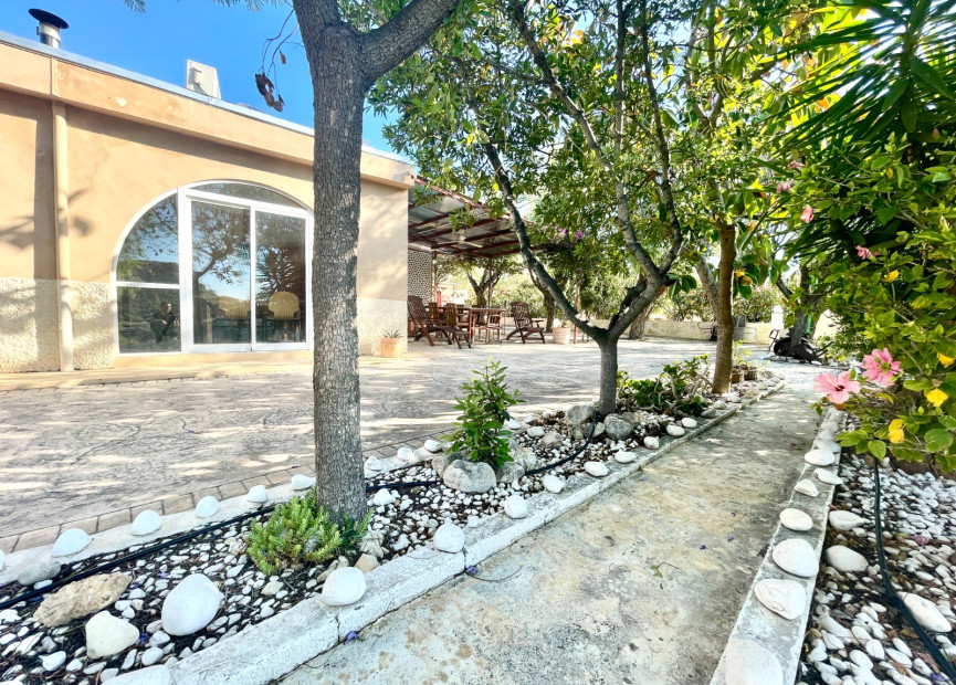 Reventa - 7. Finca - Crevillent - Crevillente
