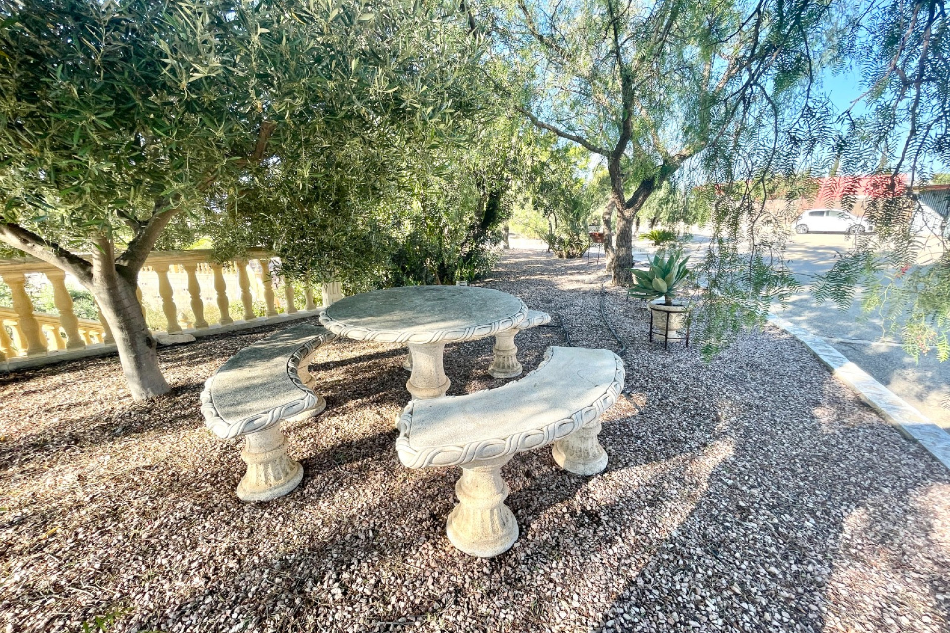 Reventa - 7. Finca - Crevillent - Crevillente
