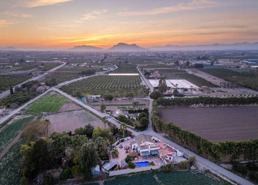 Reventa - 7. Finca - Daya Nueva - Daya Nueva - Country