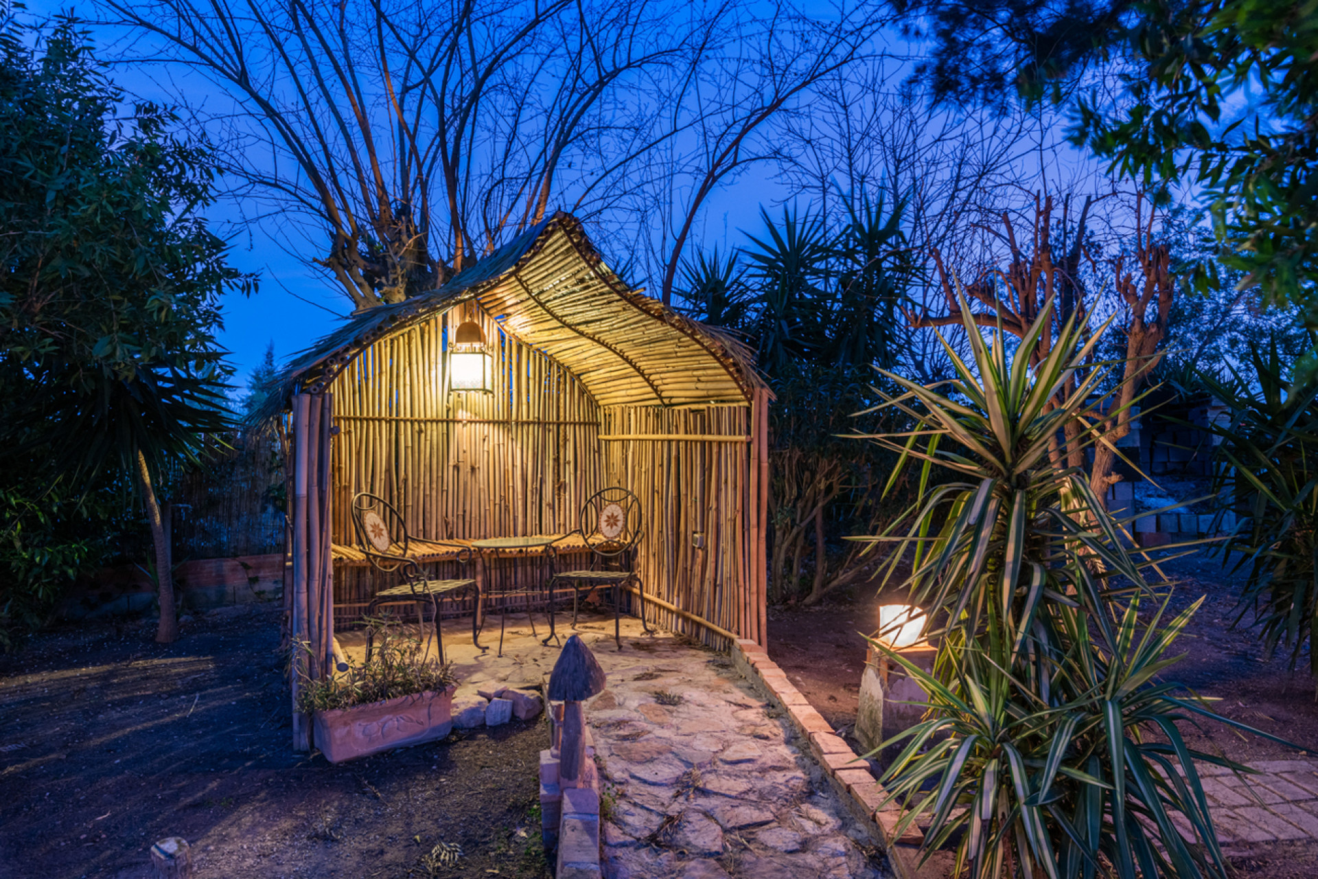 Reventa - 7. Finca - Daya Nueva - Daya Nueva - Country