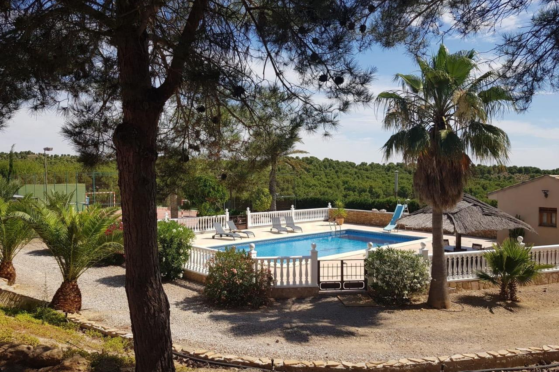 Reventa - 7. Finca - El Esparragal - Costa Calida