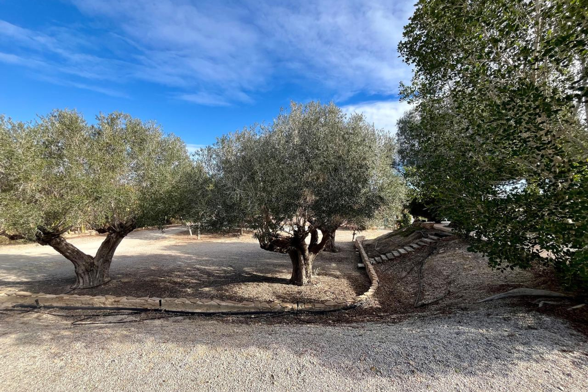 Reventa - 7. Finca - El Esparragal - Costa Calida