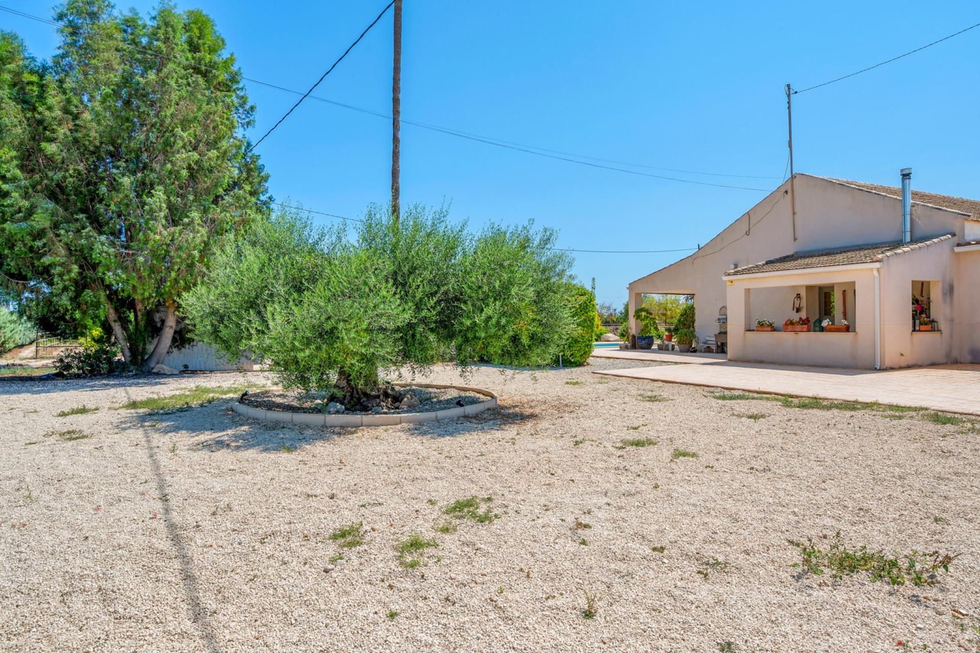 Reventa - 7. Finca - Elche - Costa Blanca Sur