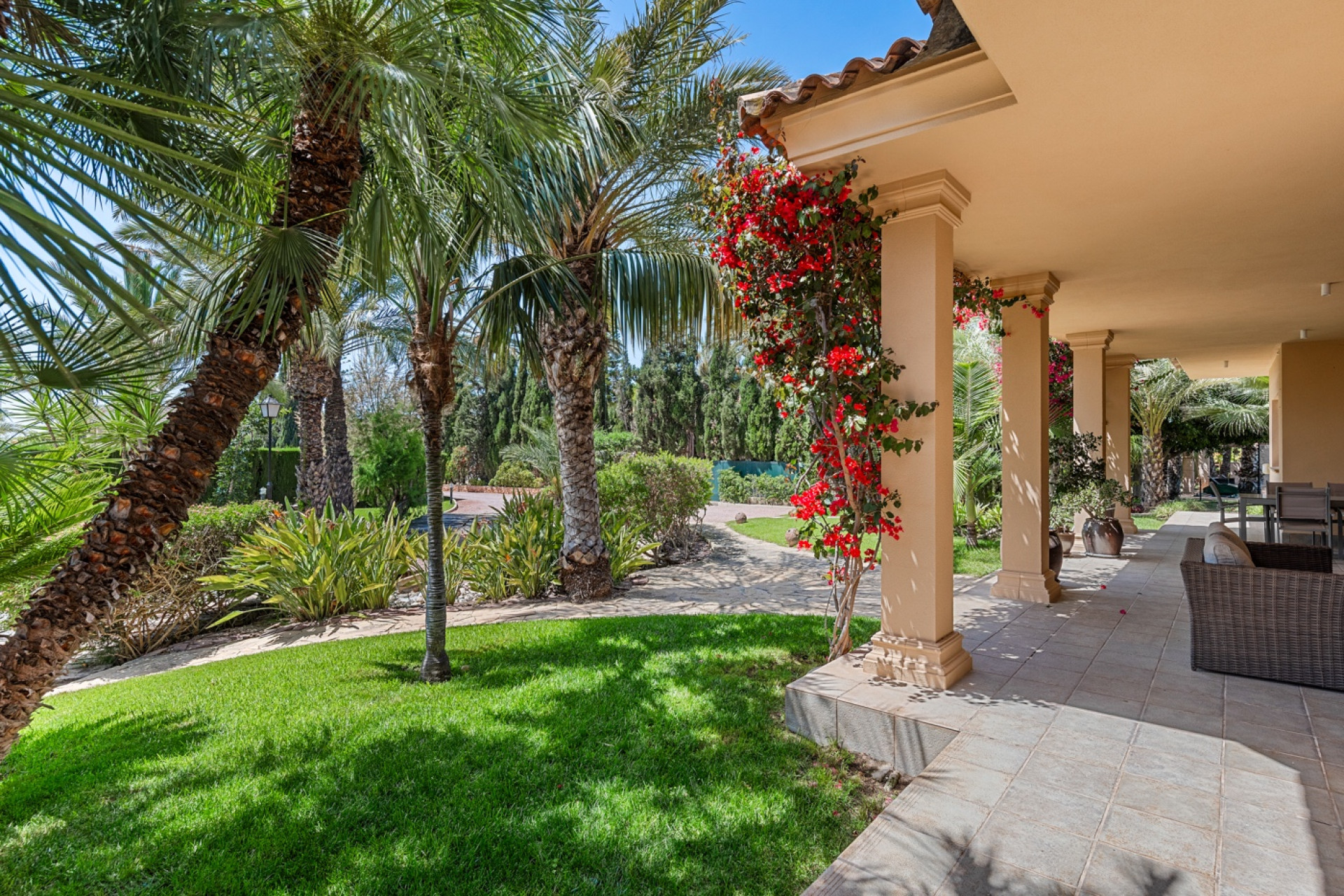 Reventa - 7. Finca - Elche - Costa Blanca Sur