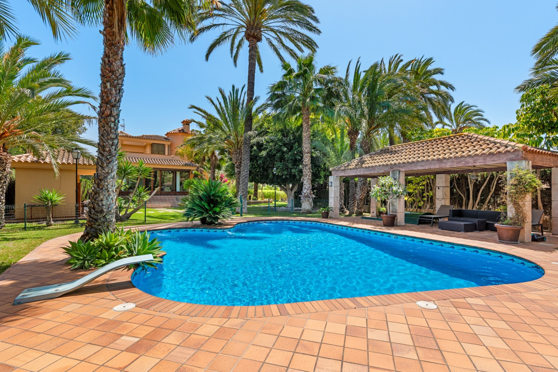 Reventa - 7. Finca - Elche - Costa Blanca Sur