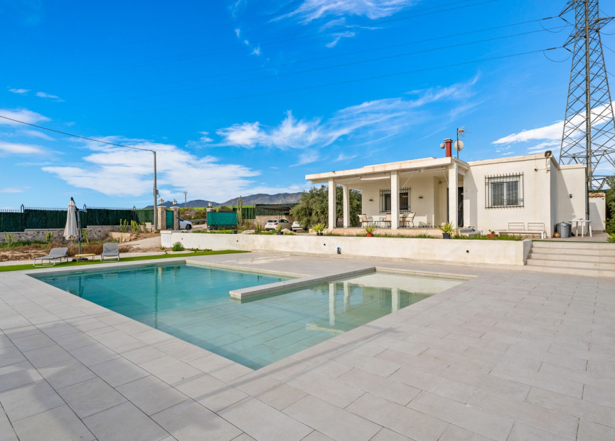 Reventa - 7. Finca - Elche - Costa Blanca Sur