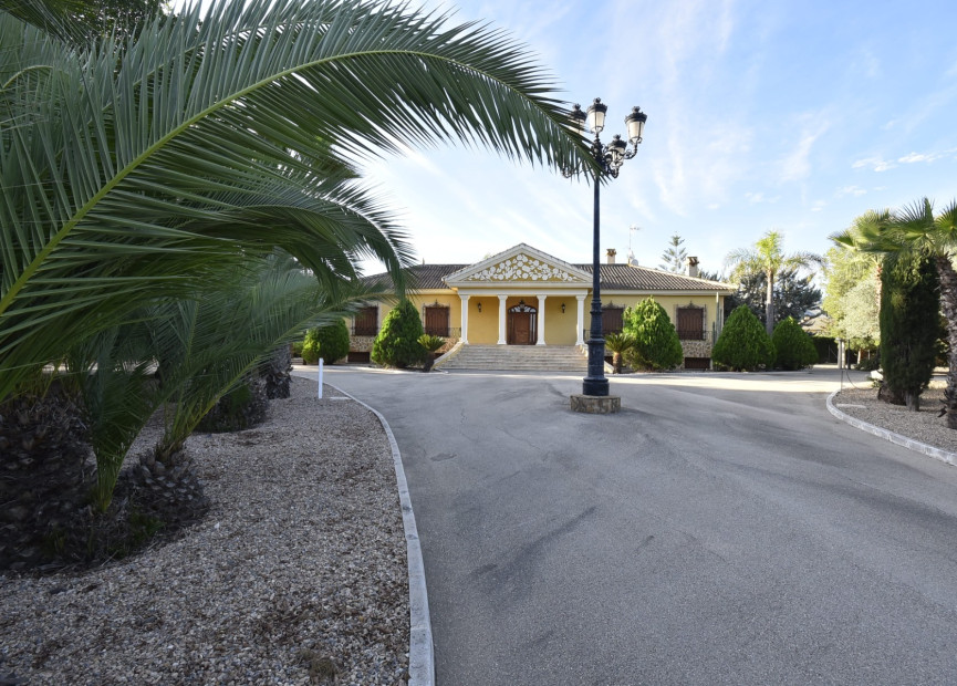 Reventa - 7. Finca - La Mata - Costa Blanca Sur