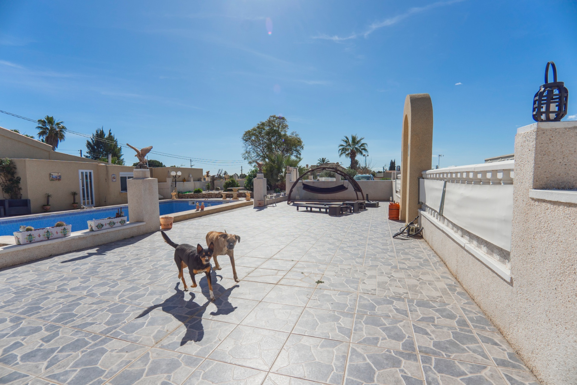 Reventa - 7. Finca - Los Montesinos - Costa Blanca Sur