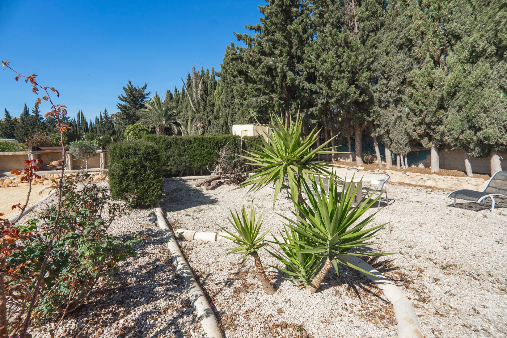 Reventa - 7. Finca - Los Montesinos - Costa Blanca Sur