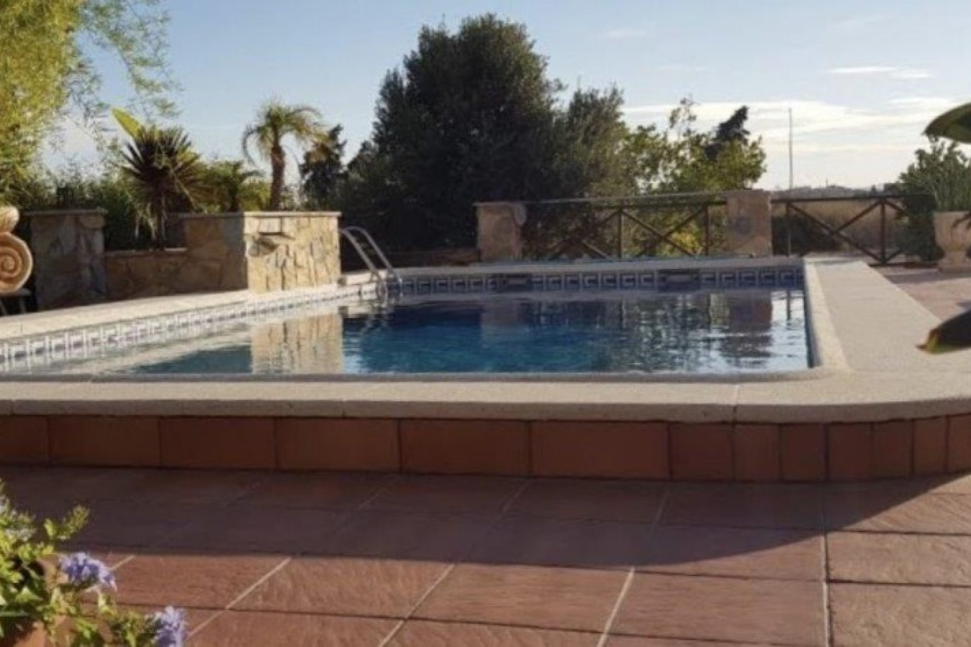Reventa - 7. Finca - Los Montesinos - Costa Blanca Sur
