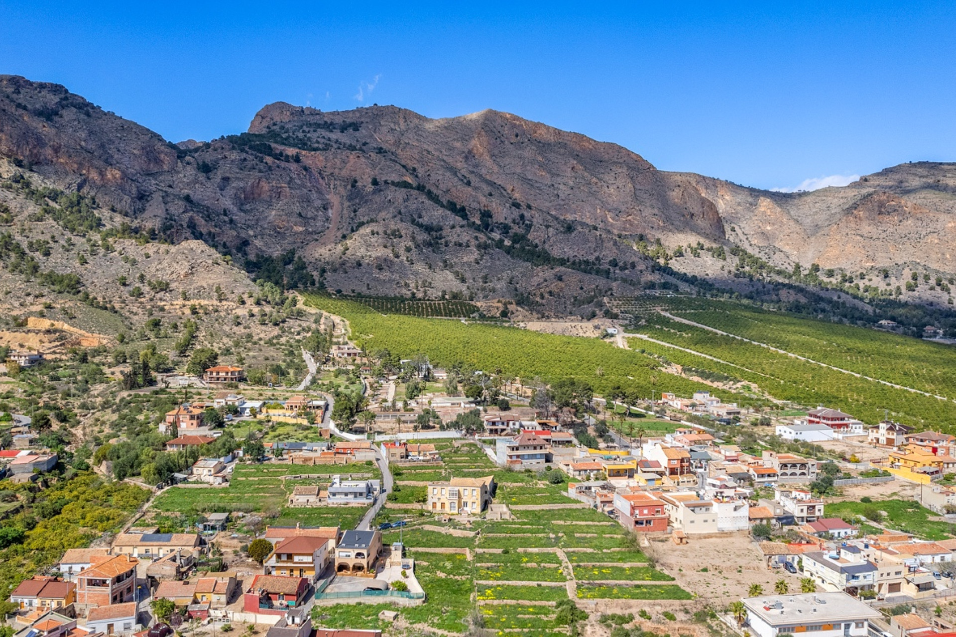 Reventa - 7. Finca - Orihuela - Costa Blanca Sur